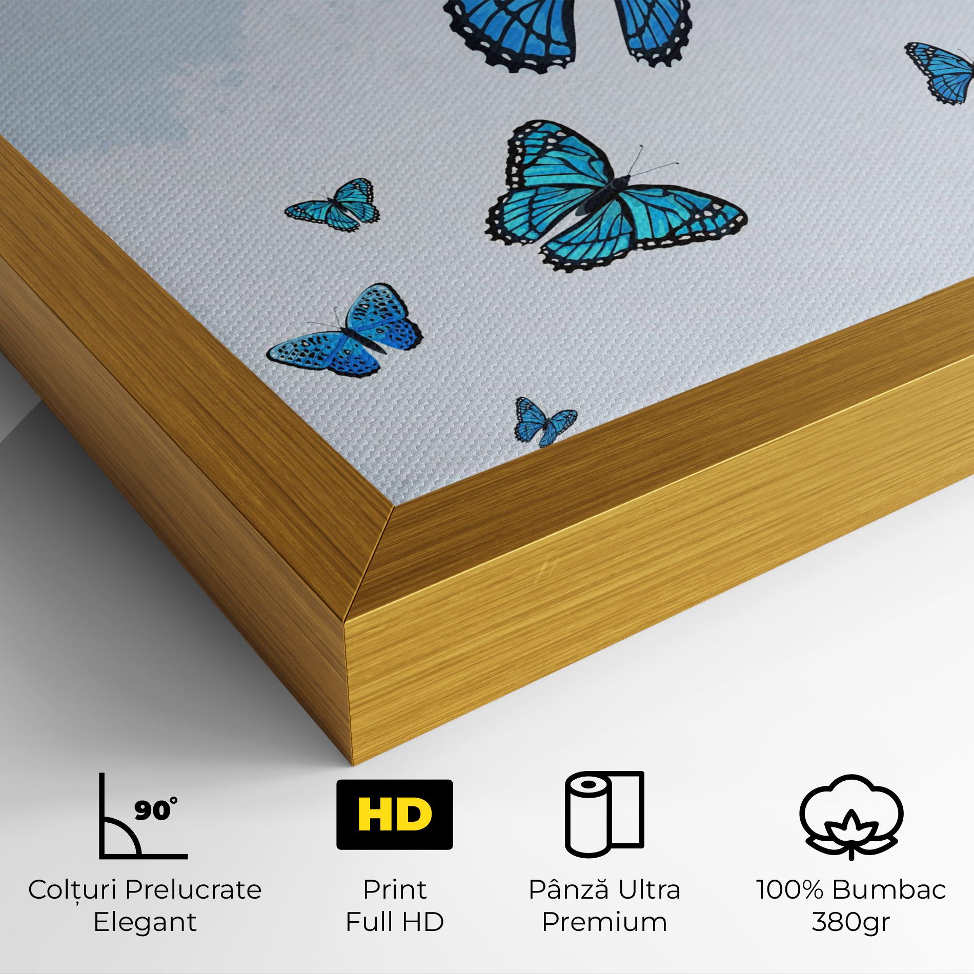 Blue Sky Butterfly mockup 4