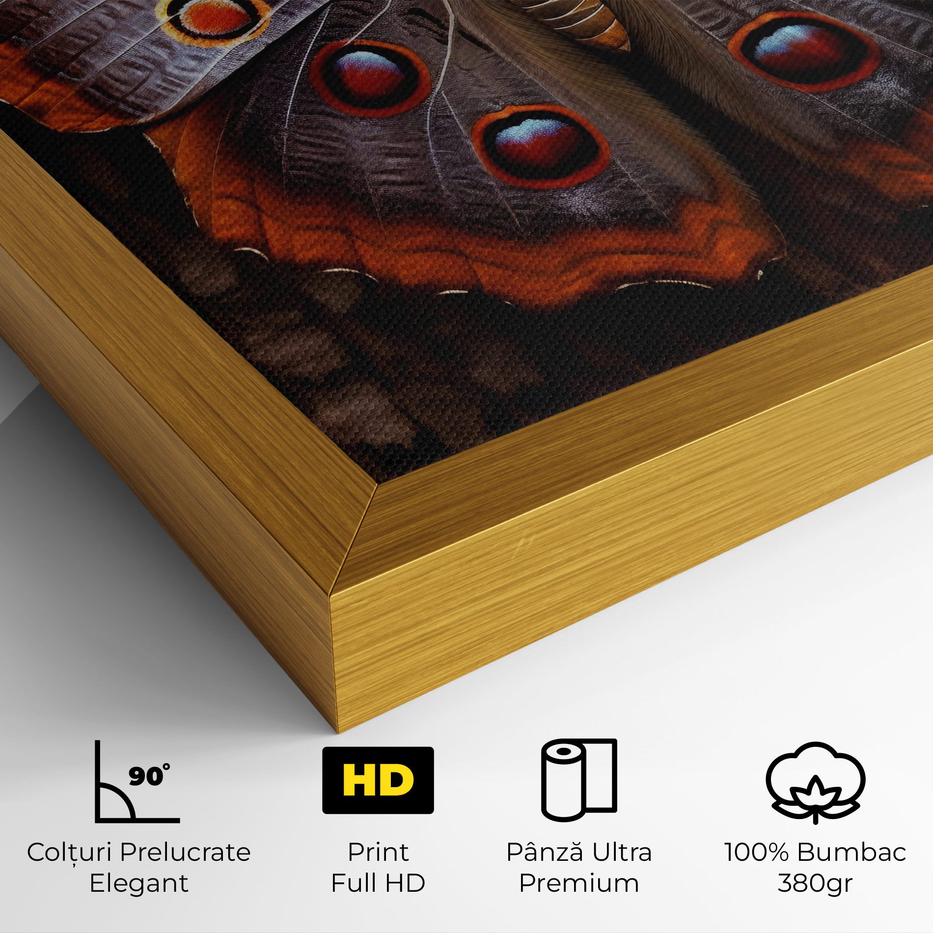 Brown Eyes Butterfly mockup 4