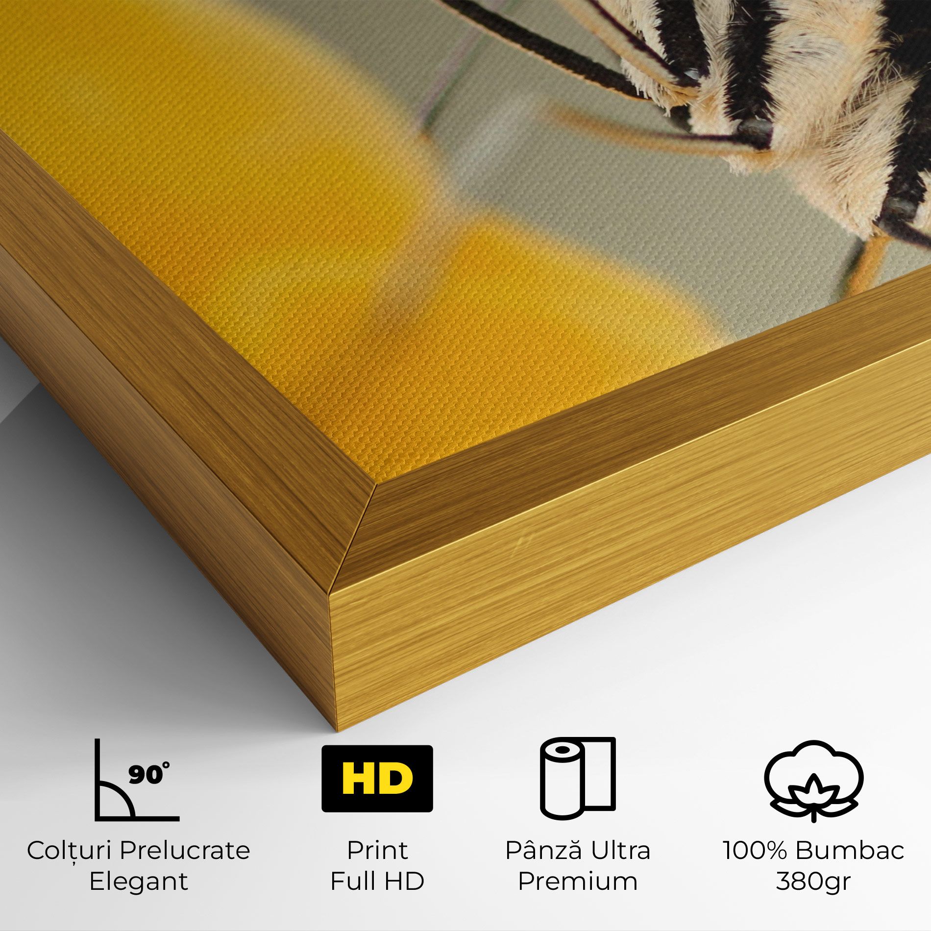 Close Up Cream Butterfly mockup 4