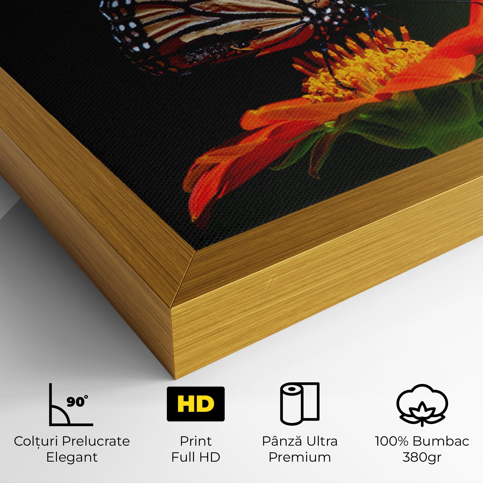 Tablou Canvas Dark Orange Butterfy mockup 4