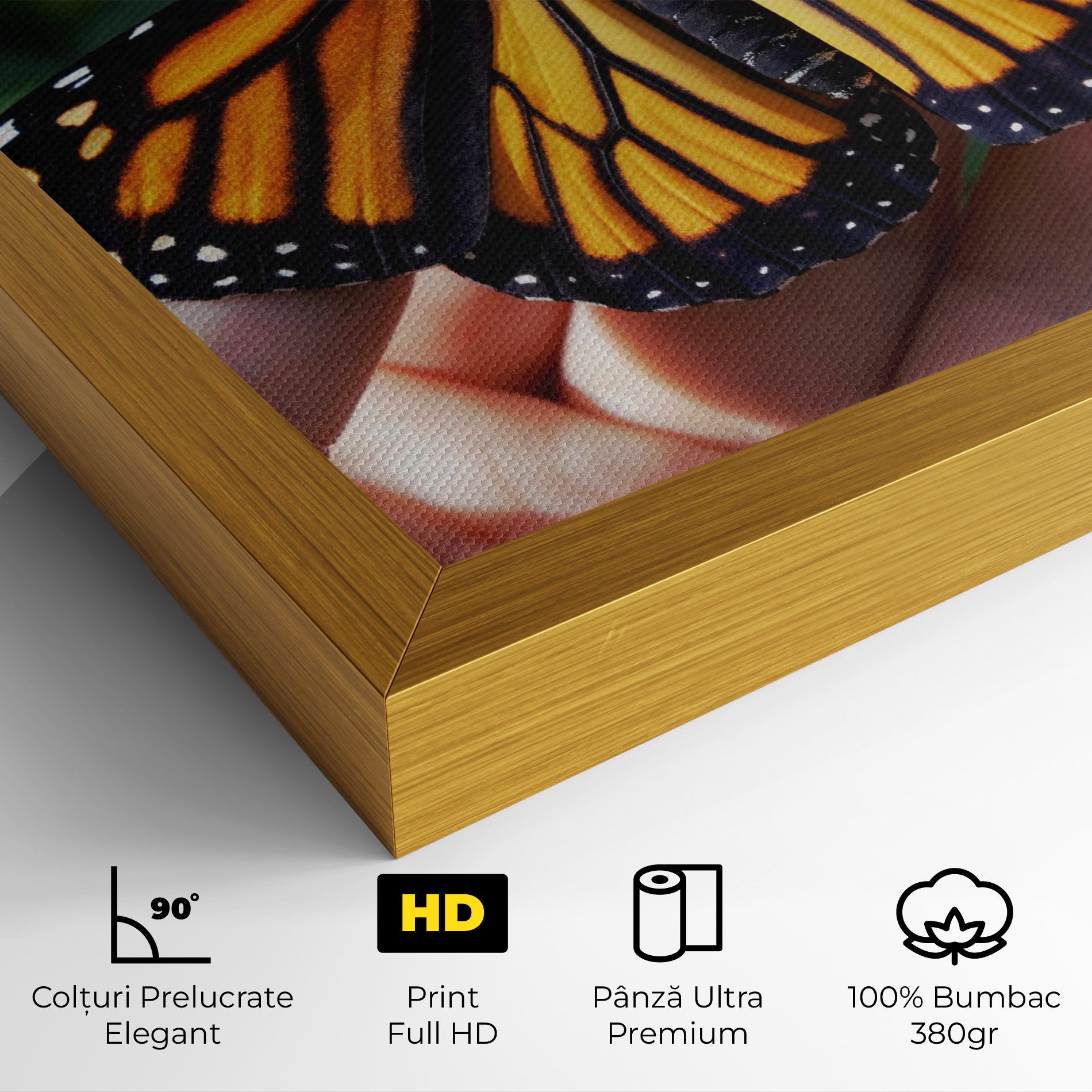 Open Orange Butterfly mockup 4