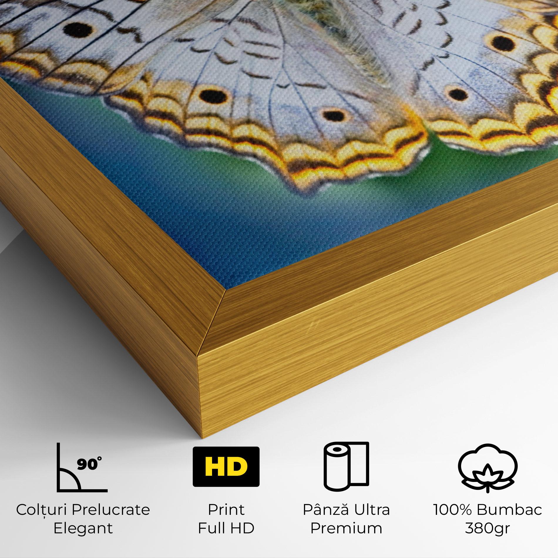 Tablou Canvas Yellow Grey Butterfly mockup 4