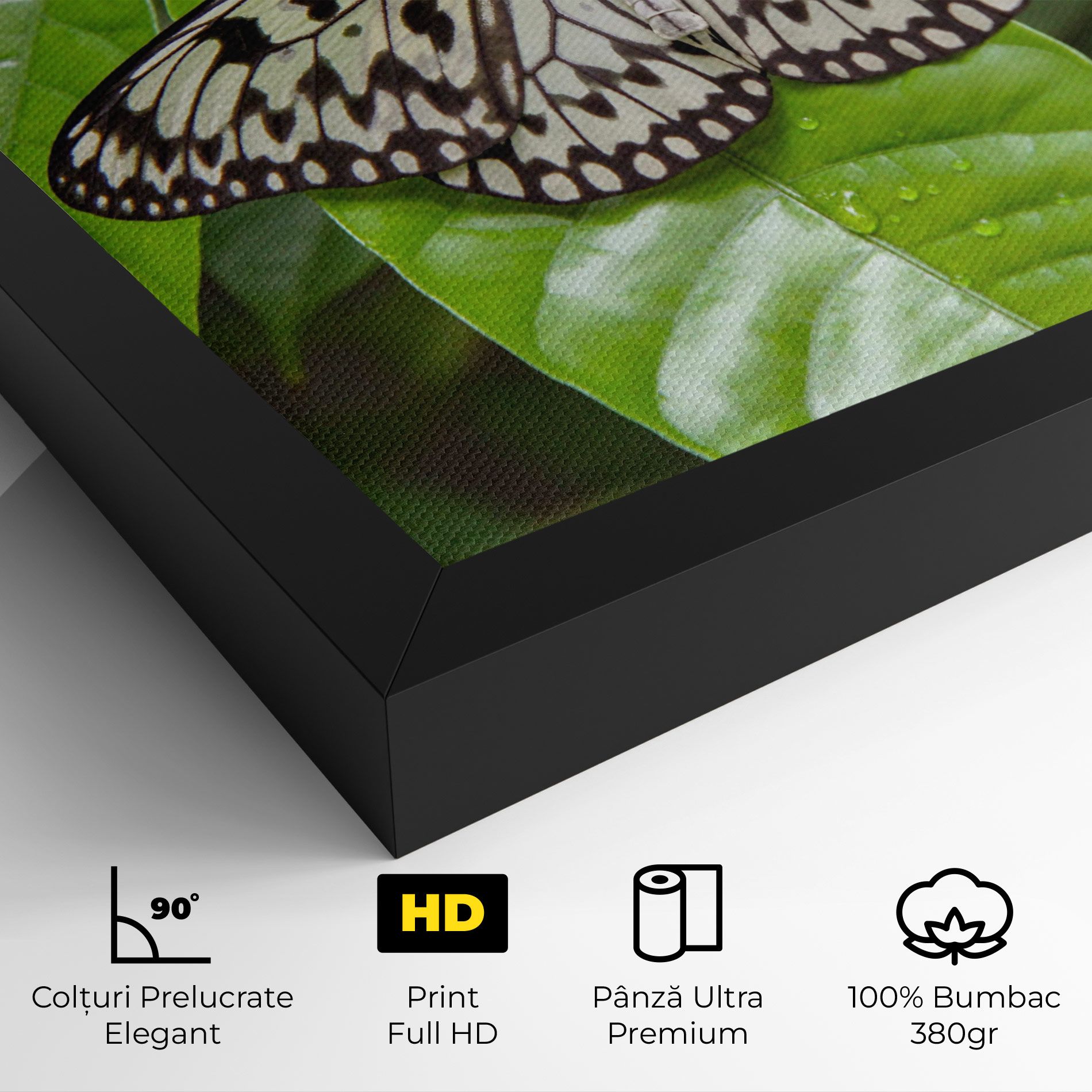 Beautiful White Butterfly mockup 4