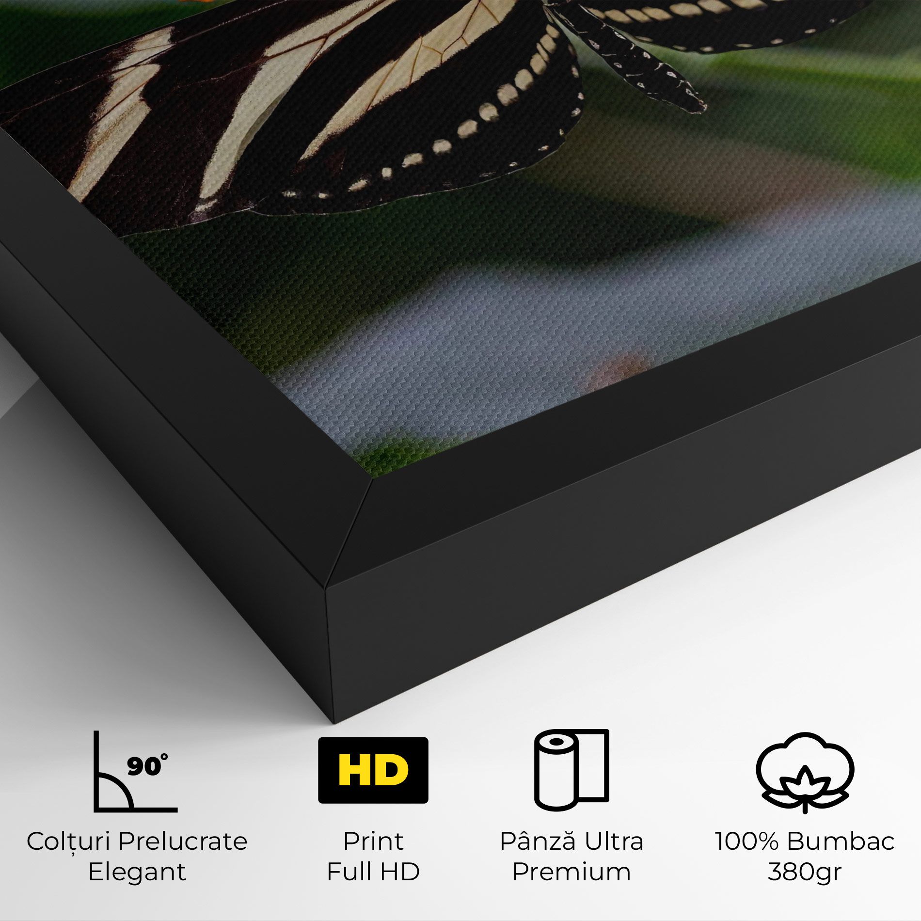 Big Wings Butterfly mockup 4