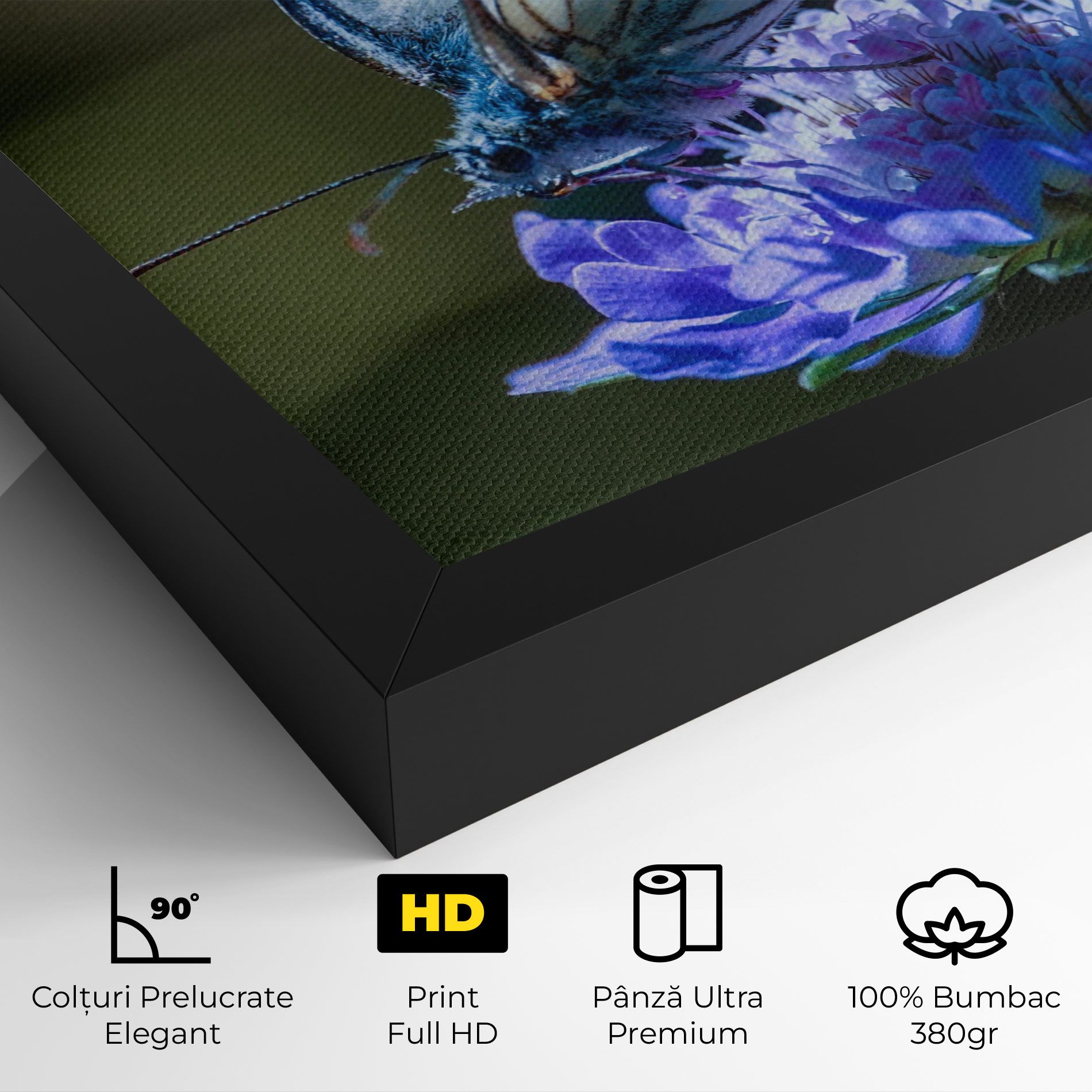 Blue Butterfly In Nature mockup 4