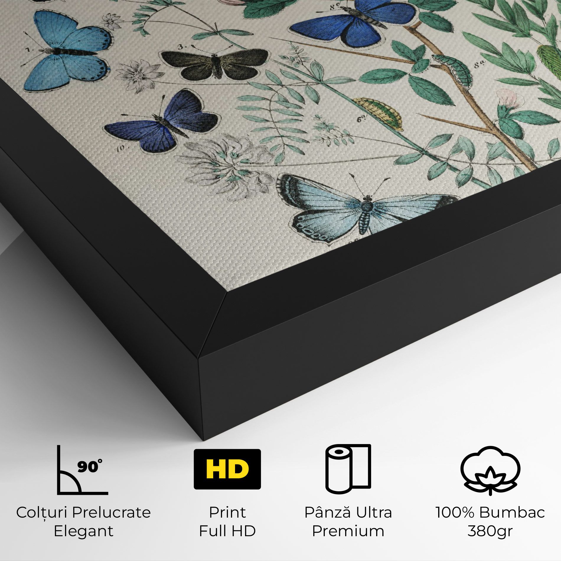 Blue Orange Butterflies mockup 4