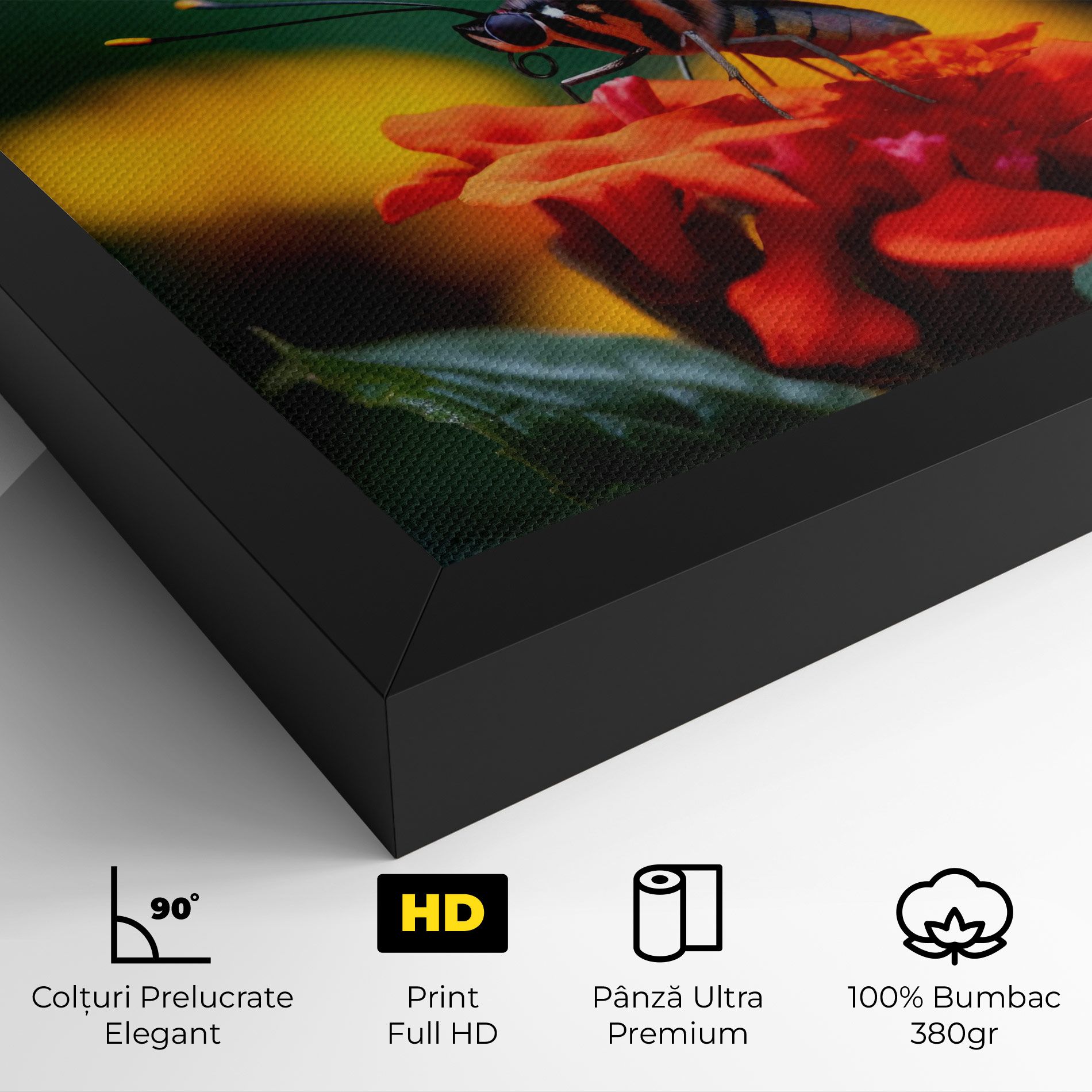 Blue Red Butterfly mockup 4