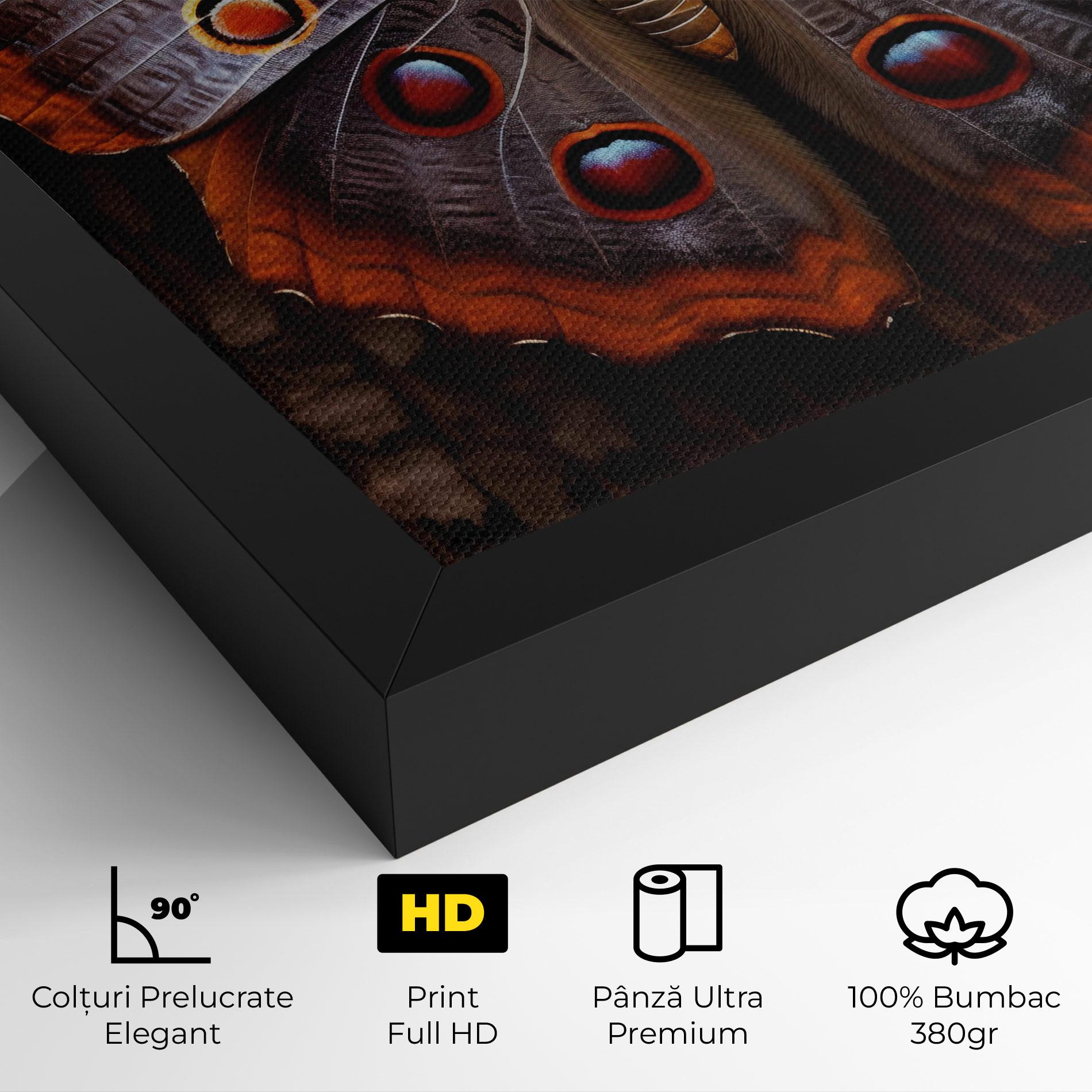 Tablou Canvas Brown Eyes Butterfly mockup 4