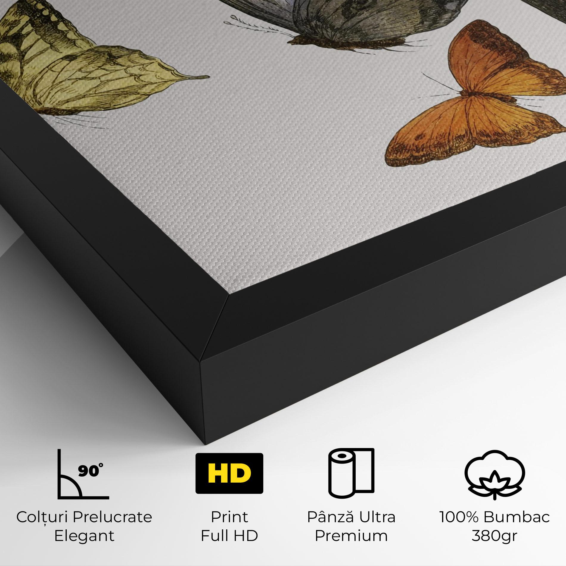 Tablou Canvas Butterfly Floating mockup 4