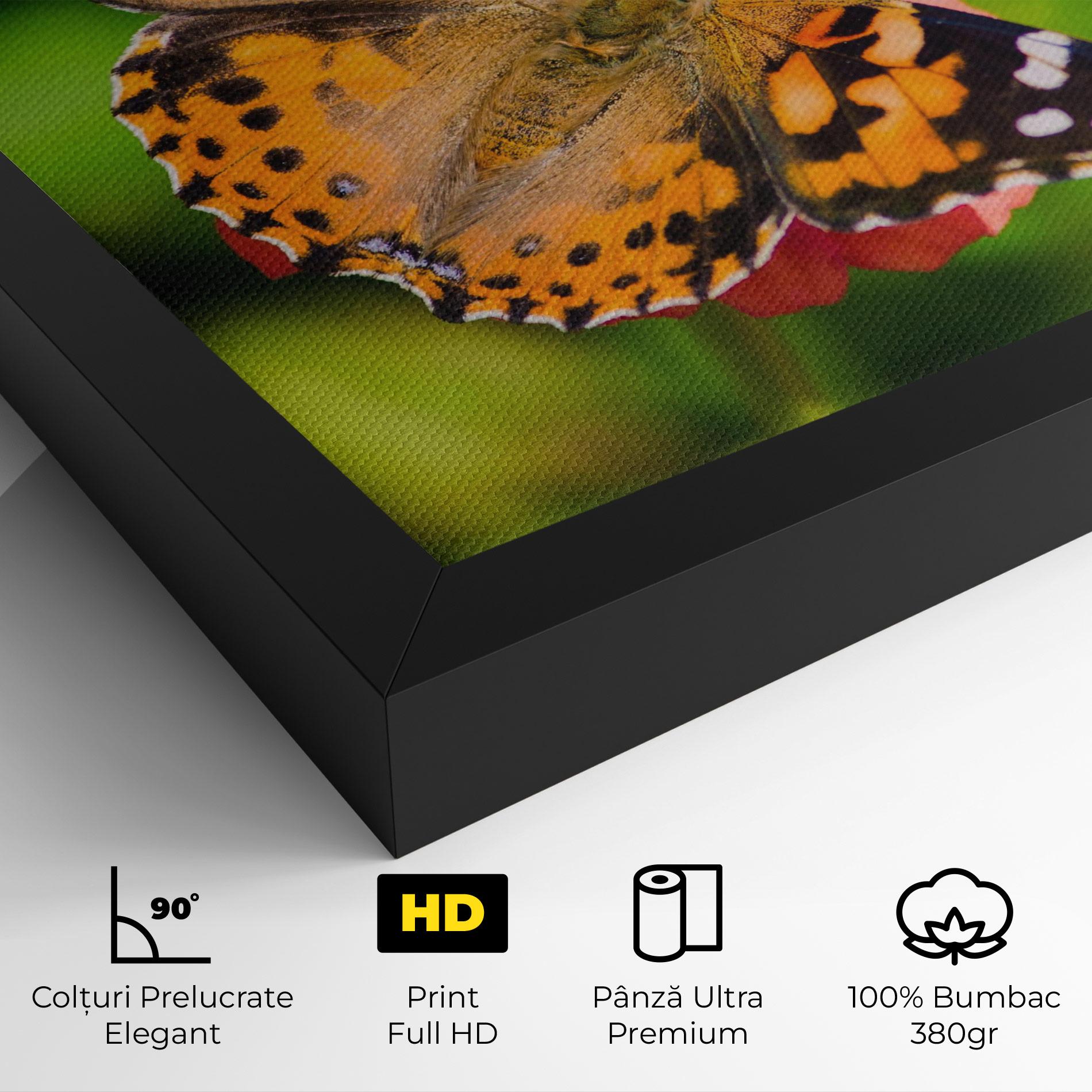 Tablou Canvas Butterfly On Flower mockup 4