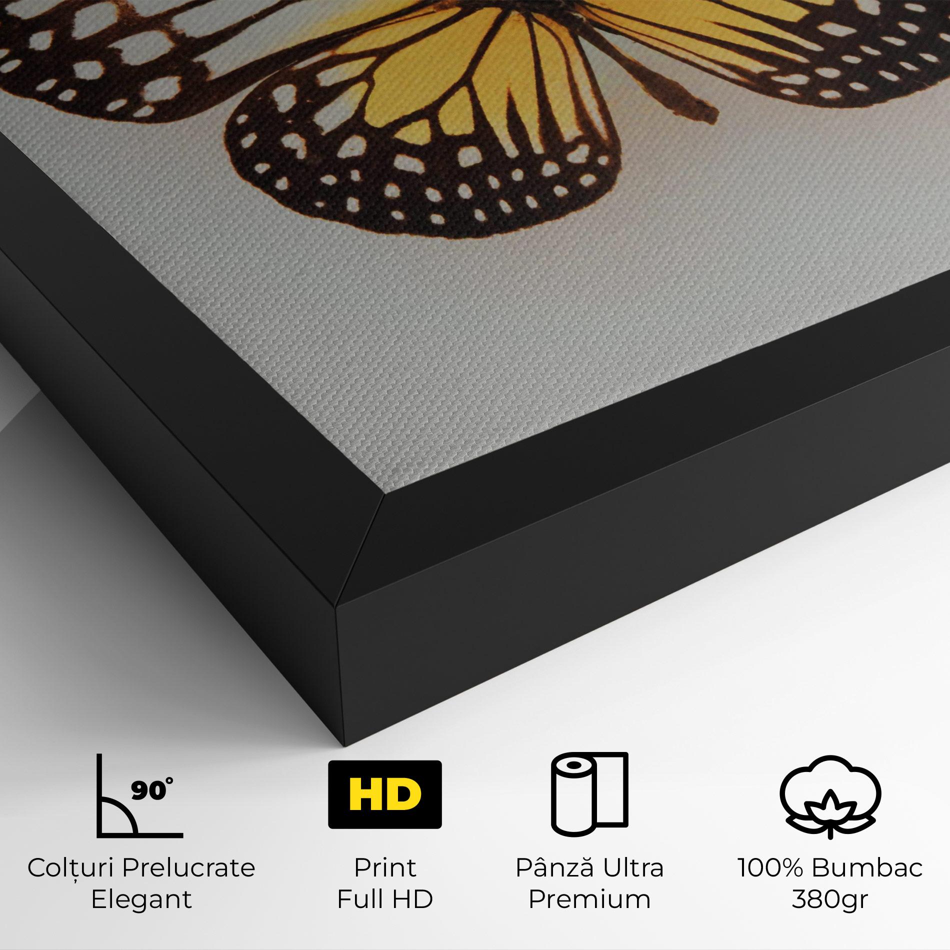 Tablou Canvas Butterfly On Grey mockup 4