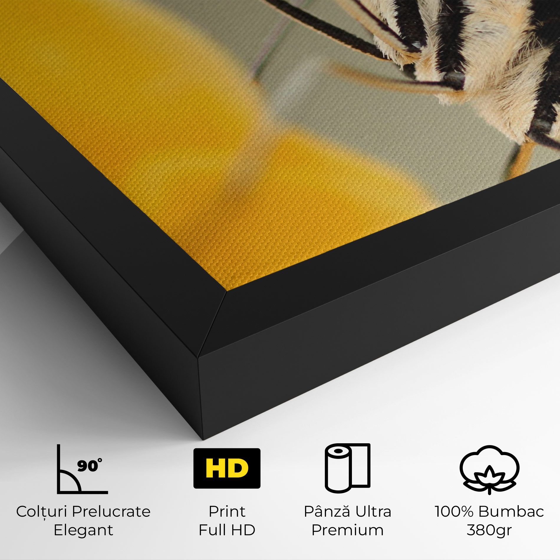 Close Up Cream Butterfly mockup 4