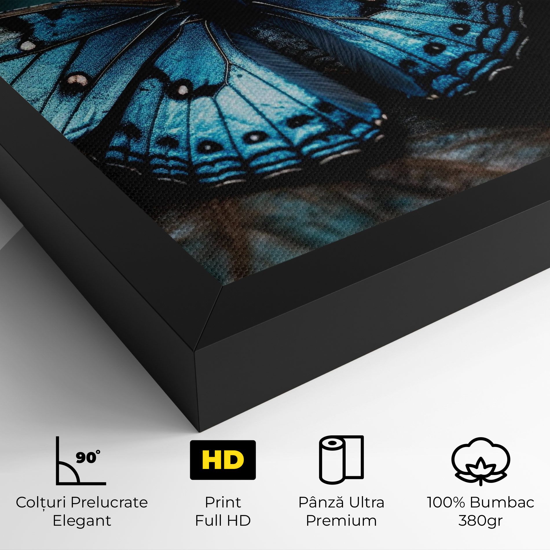 Dark Blue Buterfly mockup 4