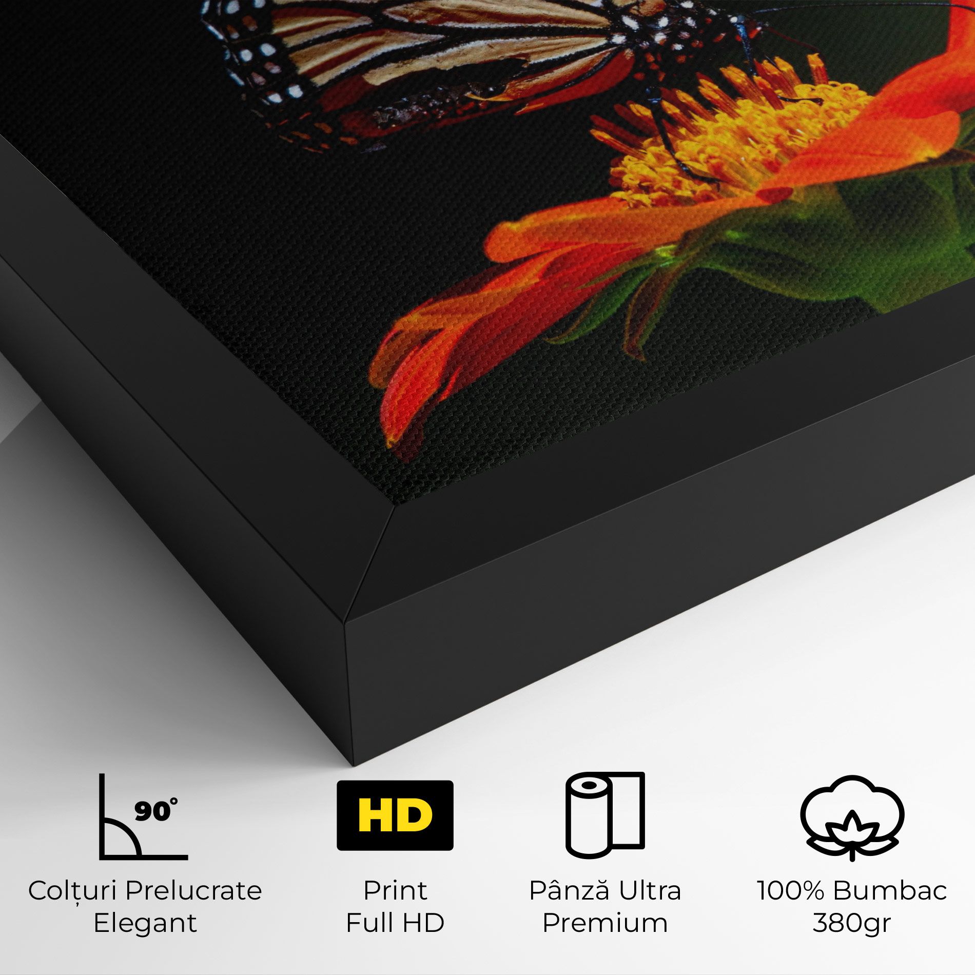 Dark Orange Butterfy mockup 4