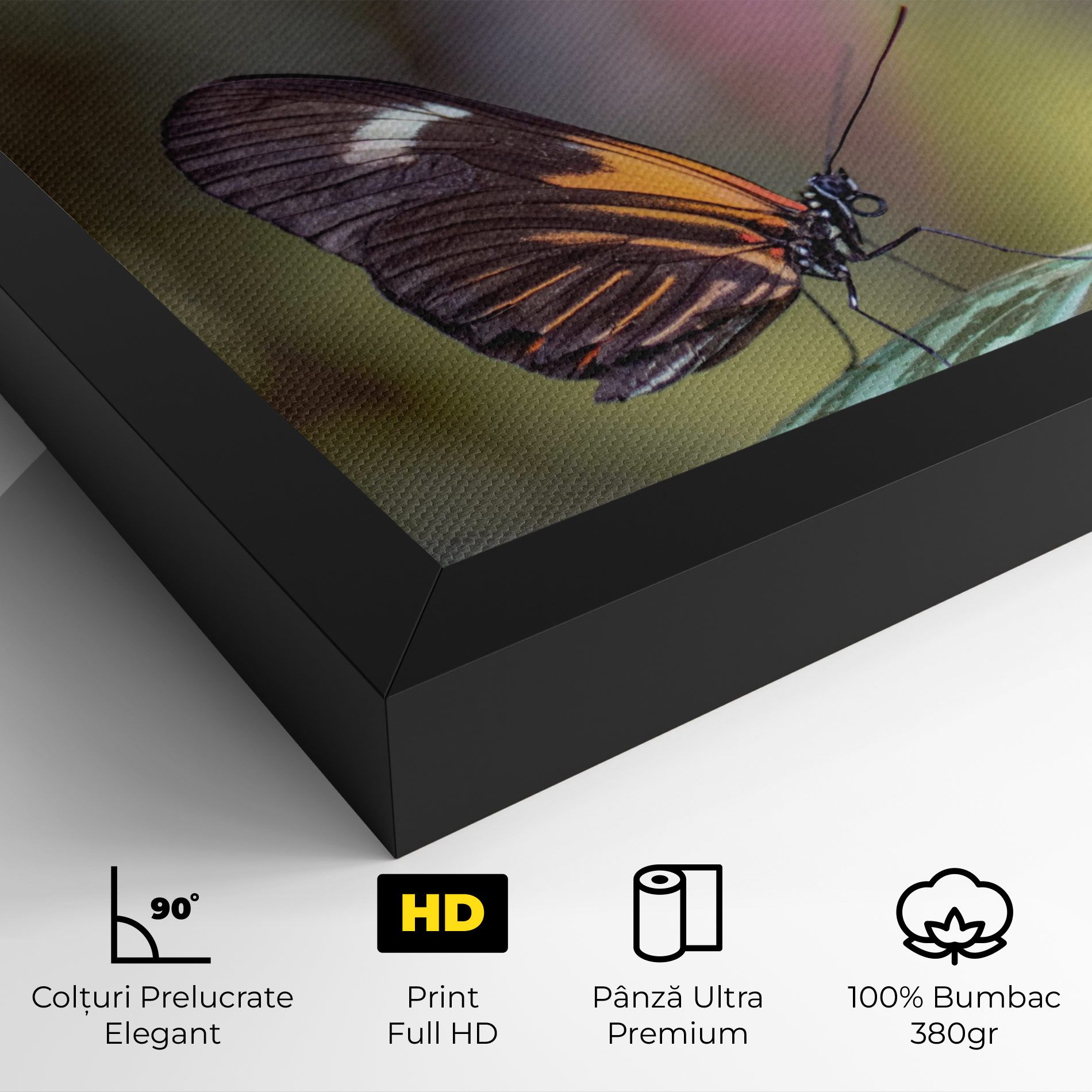 Dark Purple Butterfly mockup 4