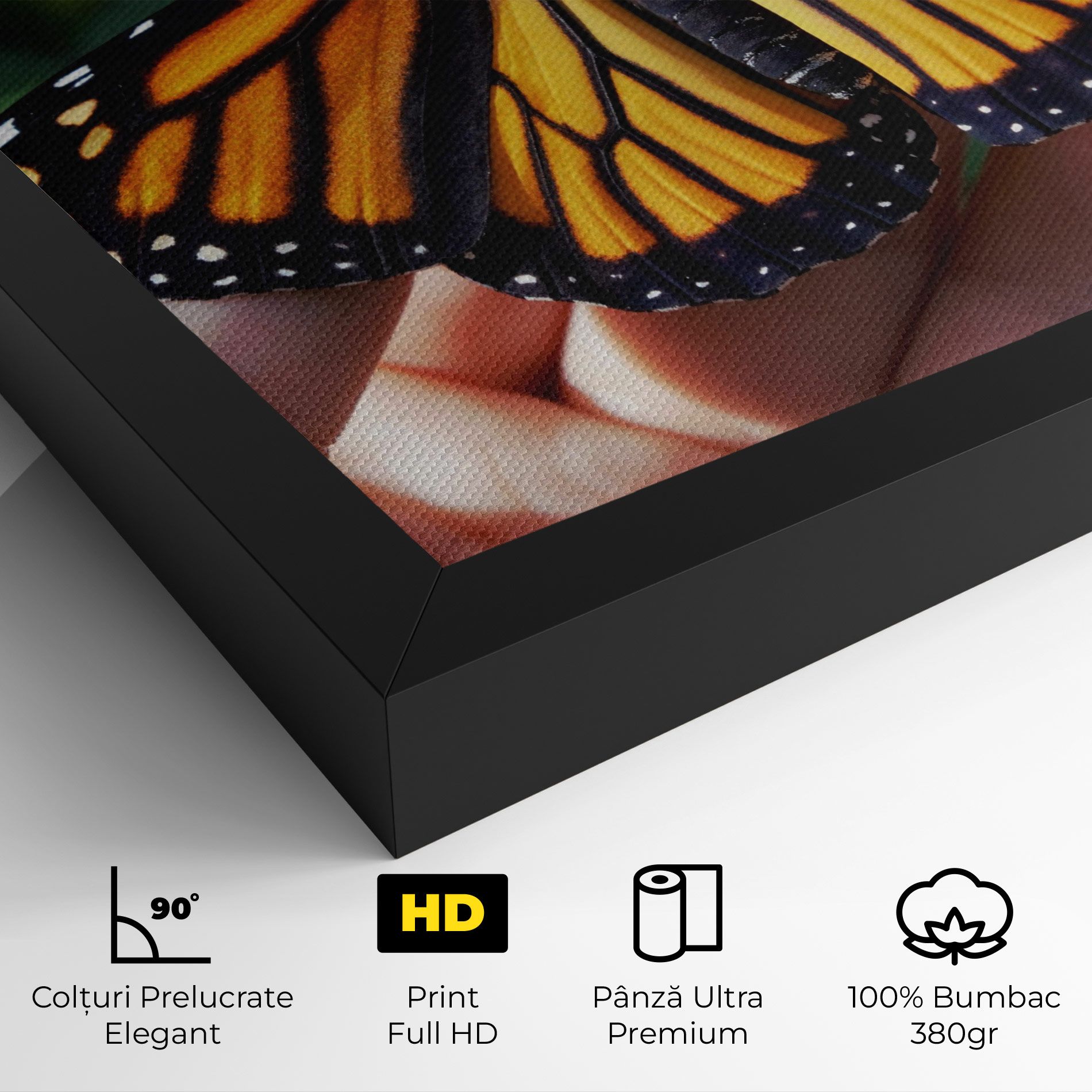 Open Orange Butterfly mockup 4