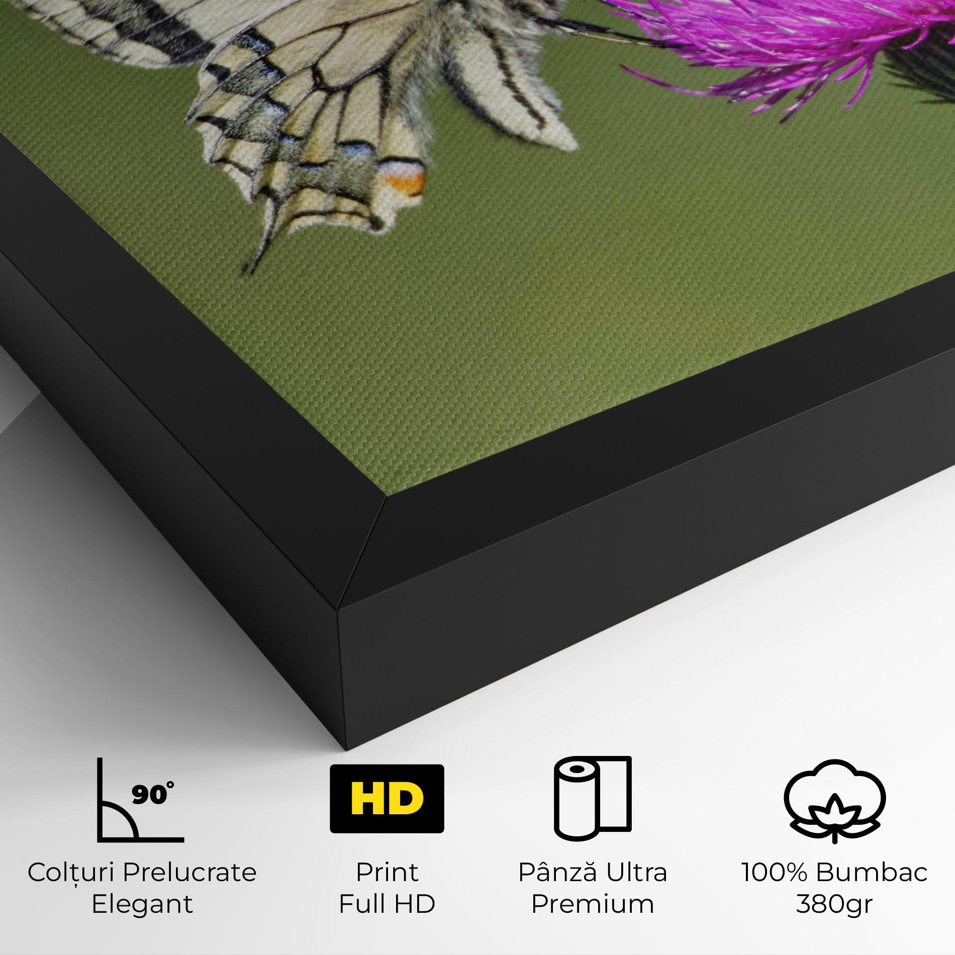 Tablou Canvas White Butterfly Pollen mockup 4