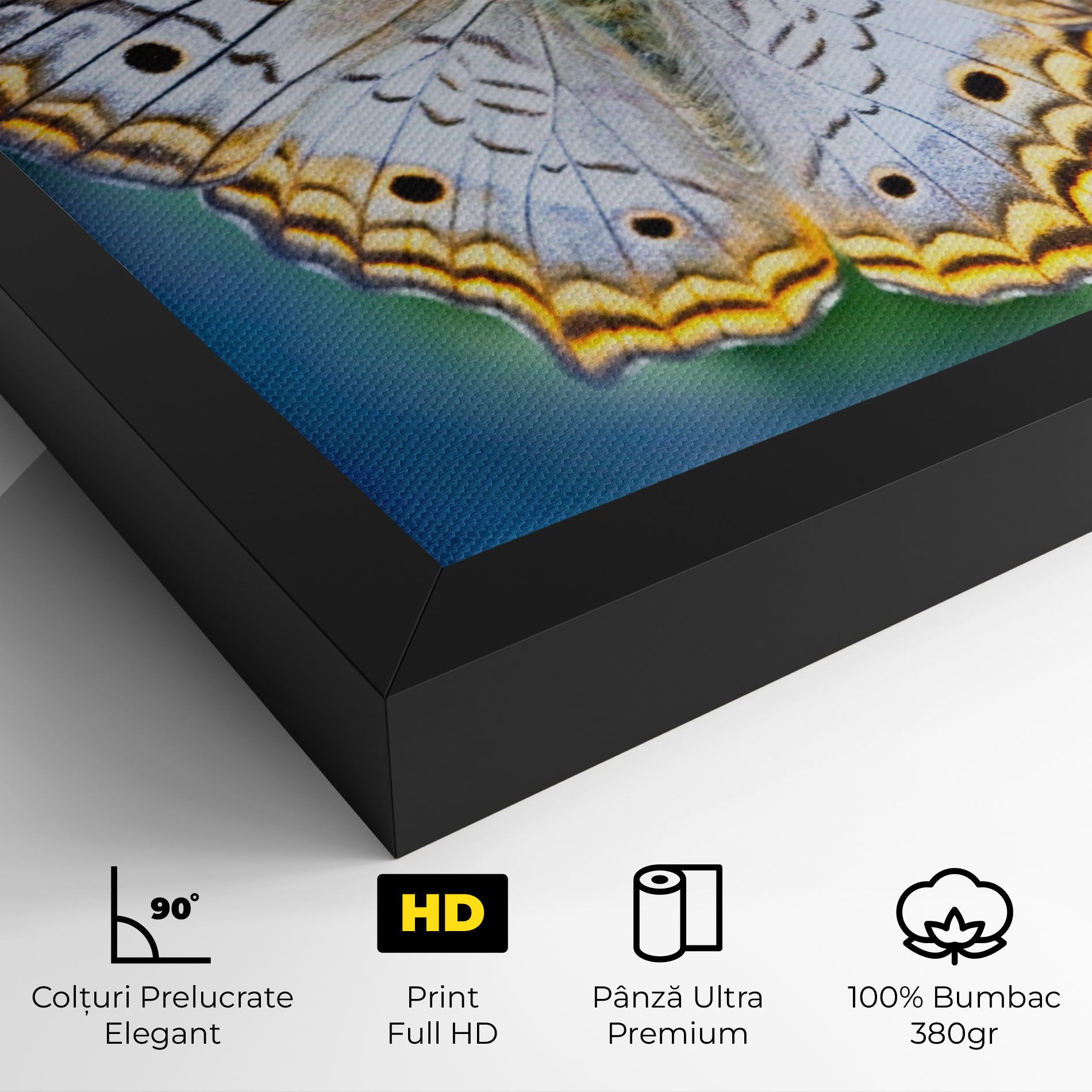 Yellow Grey Butterfly mockup 4