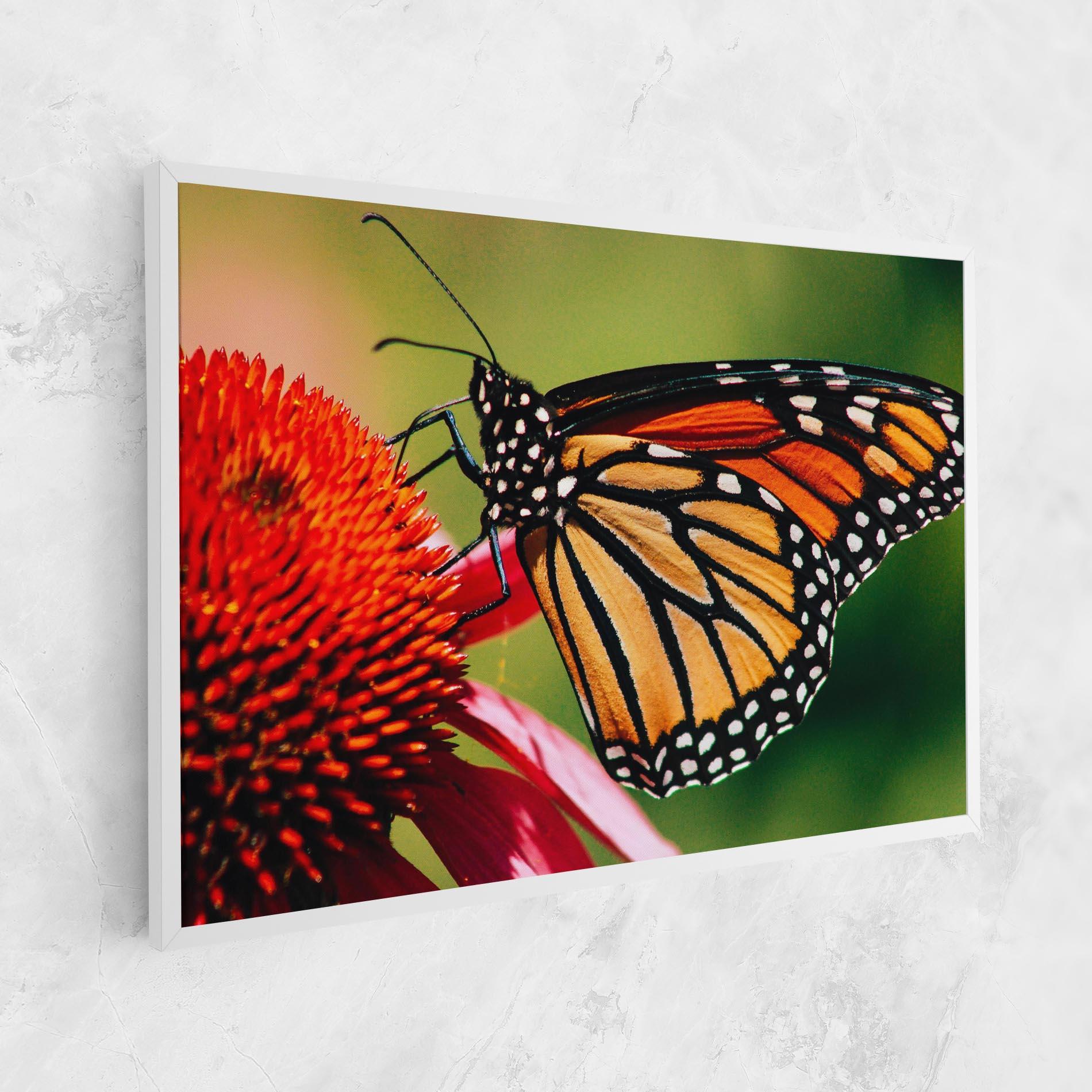 Tablou Canvas Big Orange Butterfly mockup 1