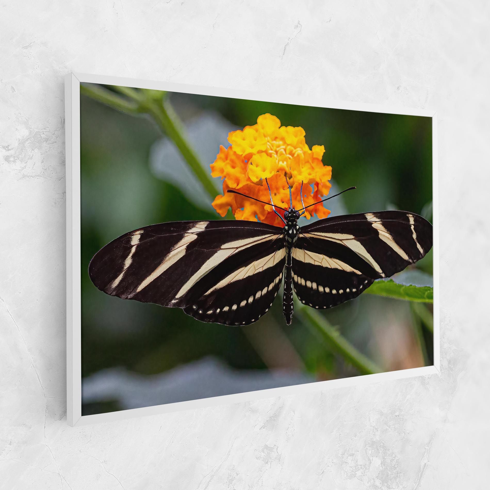 Big Wings Butterfly mockup 1