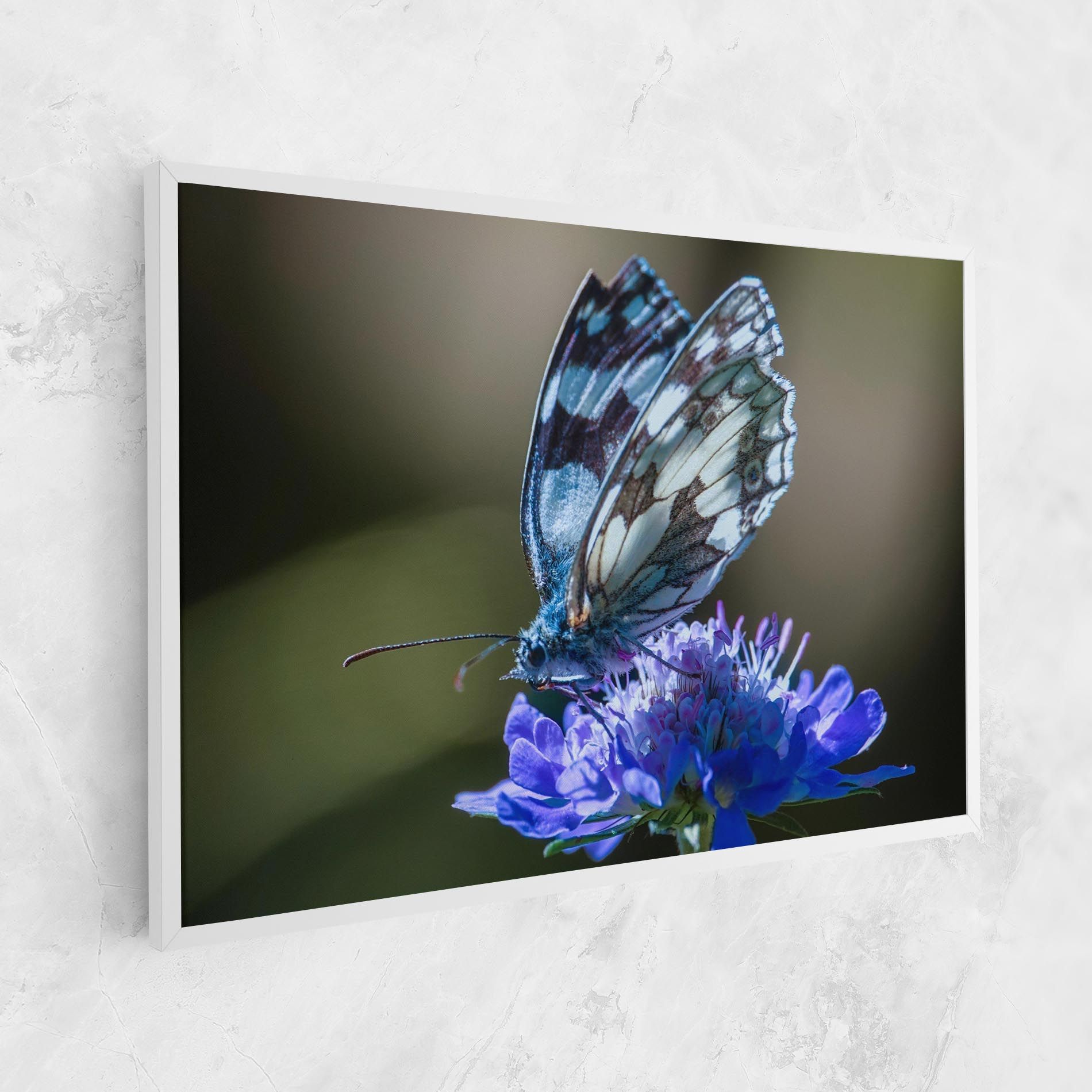 Blue Butterfly In Nature mockup 1