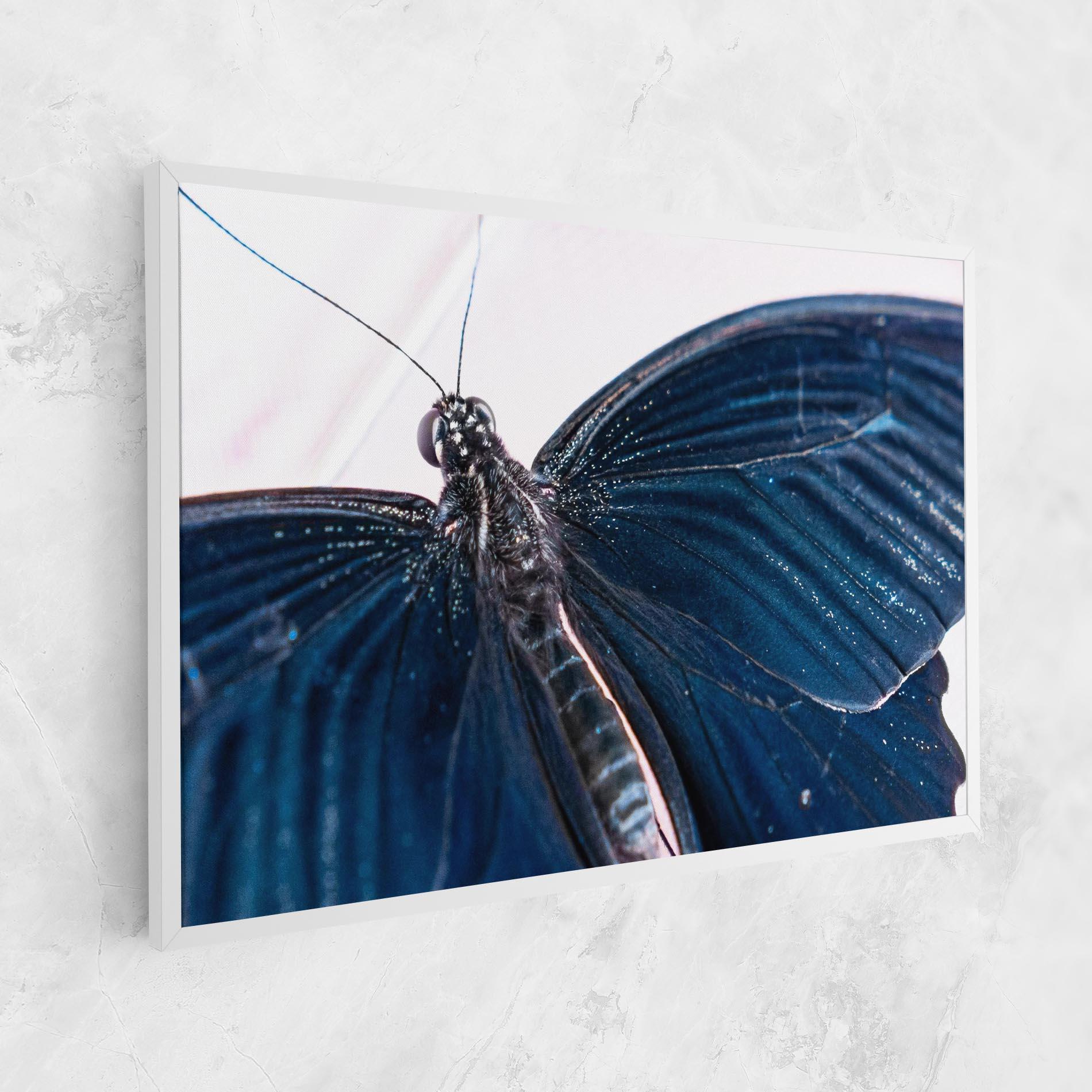 Tablou Canvas Blue Butterfly mockup 1