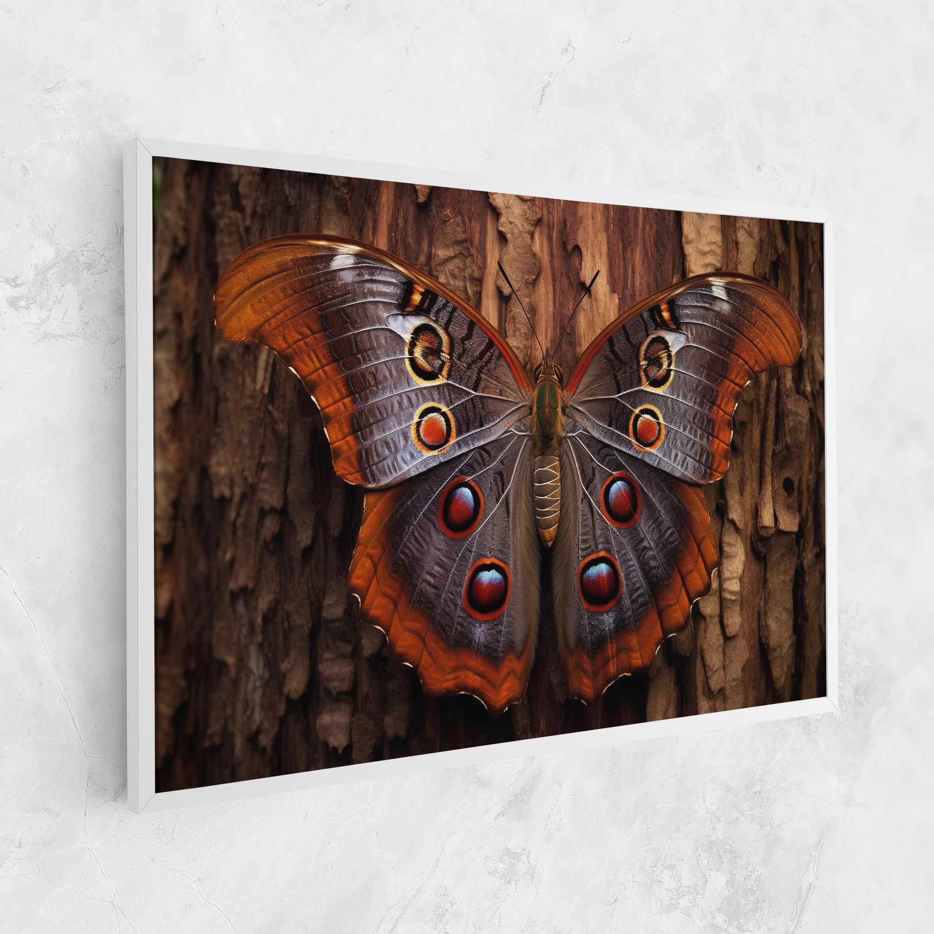 Brown Eyes Butterfly mockup 1