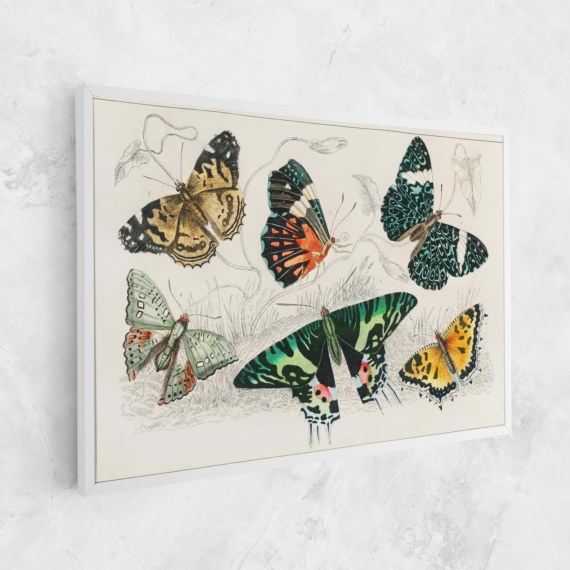 Butterfly Art mockup 1
