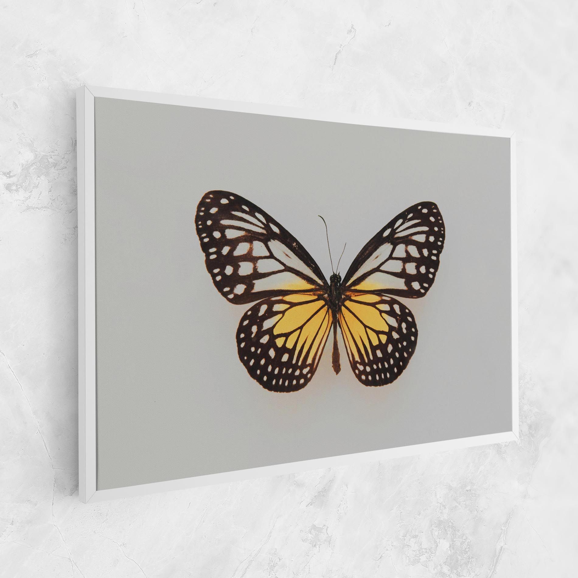 Butterfly On Grey mockup 1