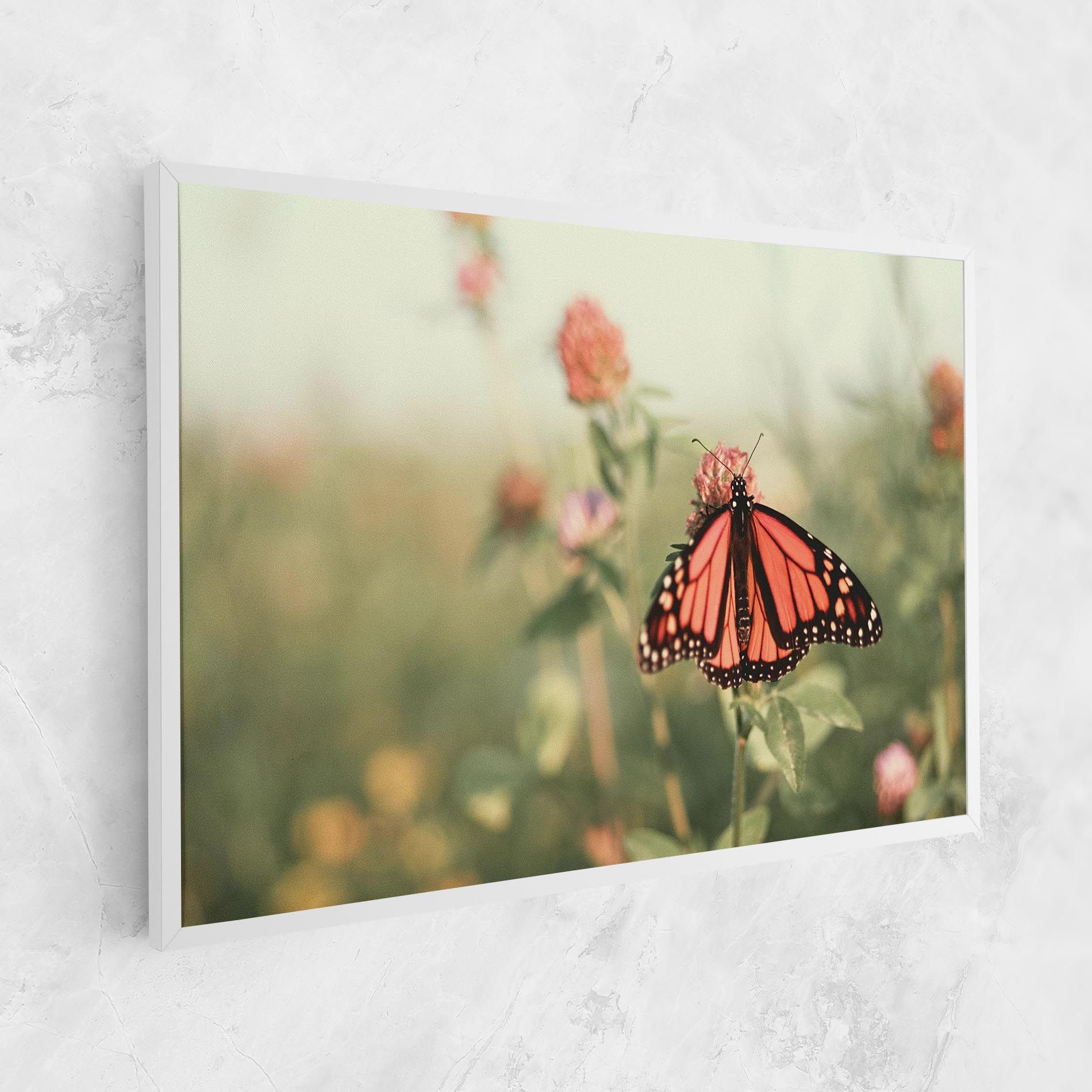 Light Red Butterfly mockup 1