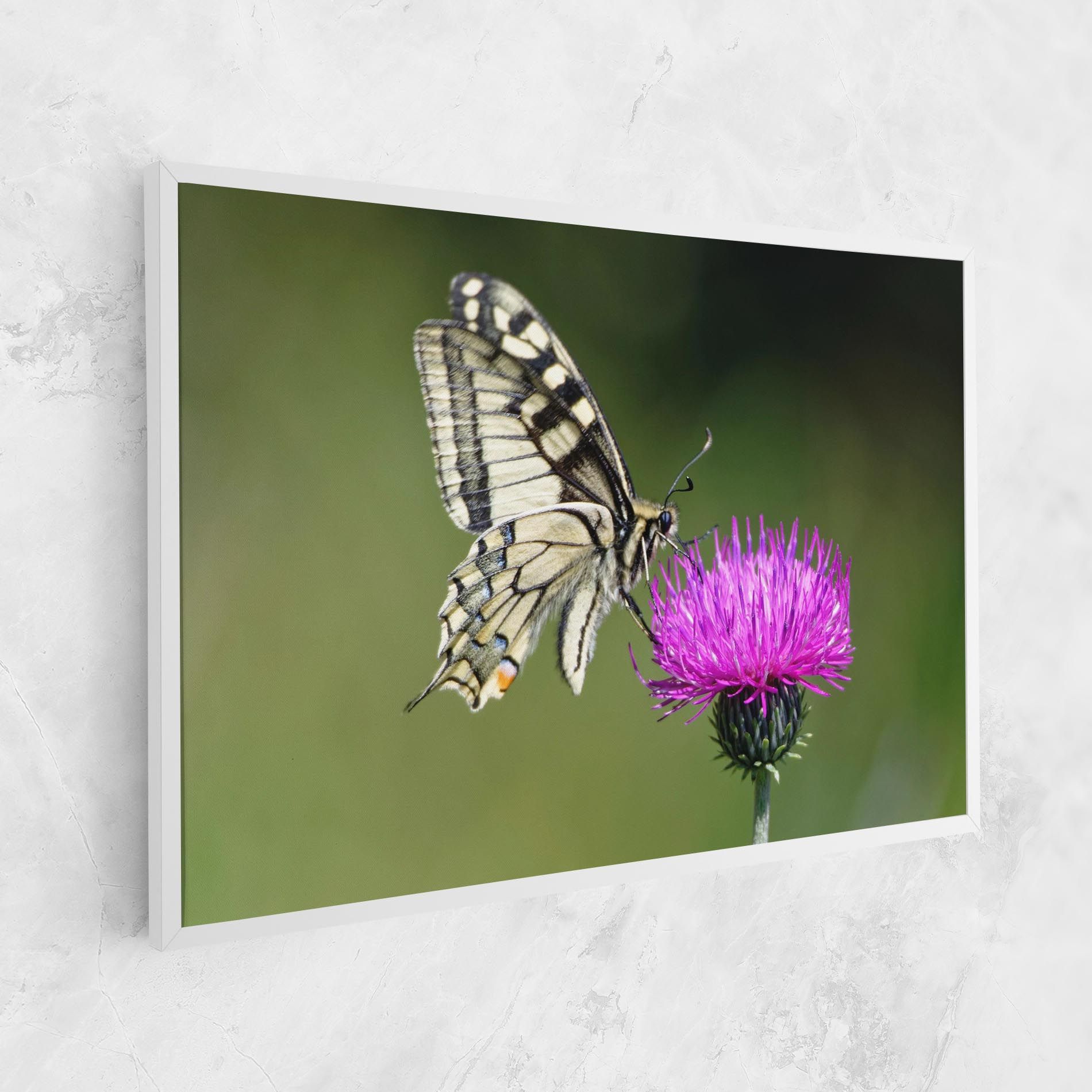 White Butterfly Pollen mockup 1
