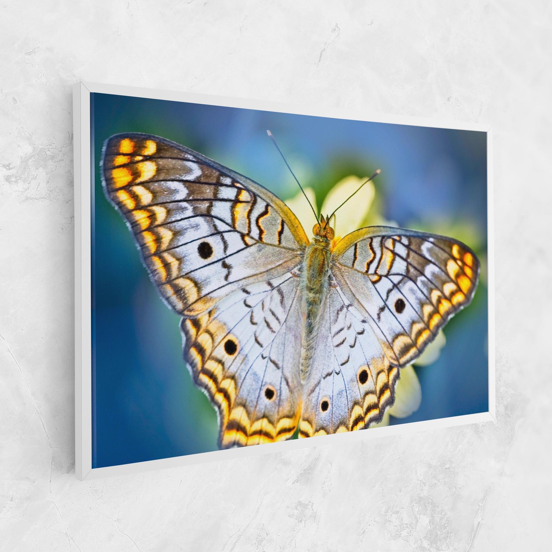 Tablou Canvas Yellow Grey Butterfly mockup 1