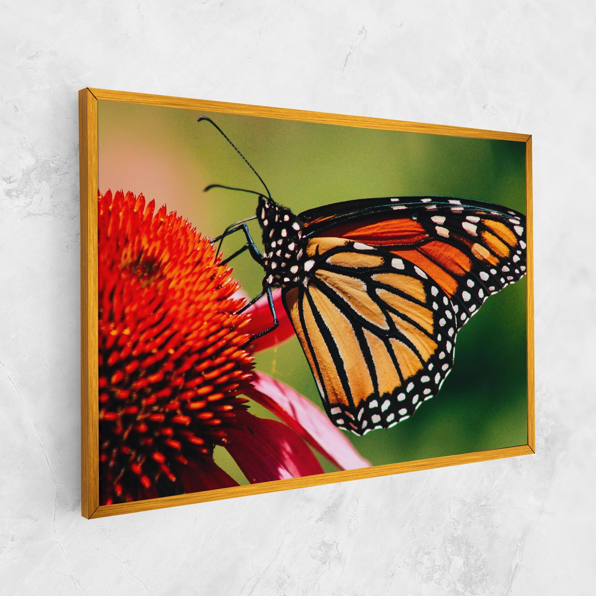 Tablou Canvas Big Orange Butterfly mockup 1