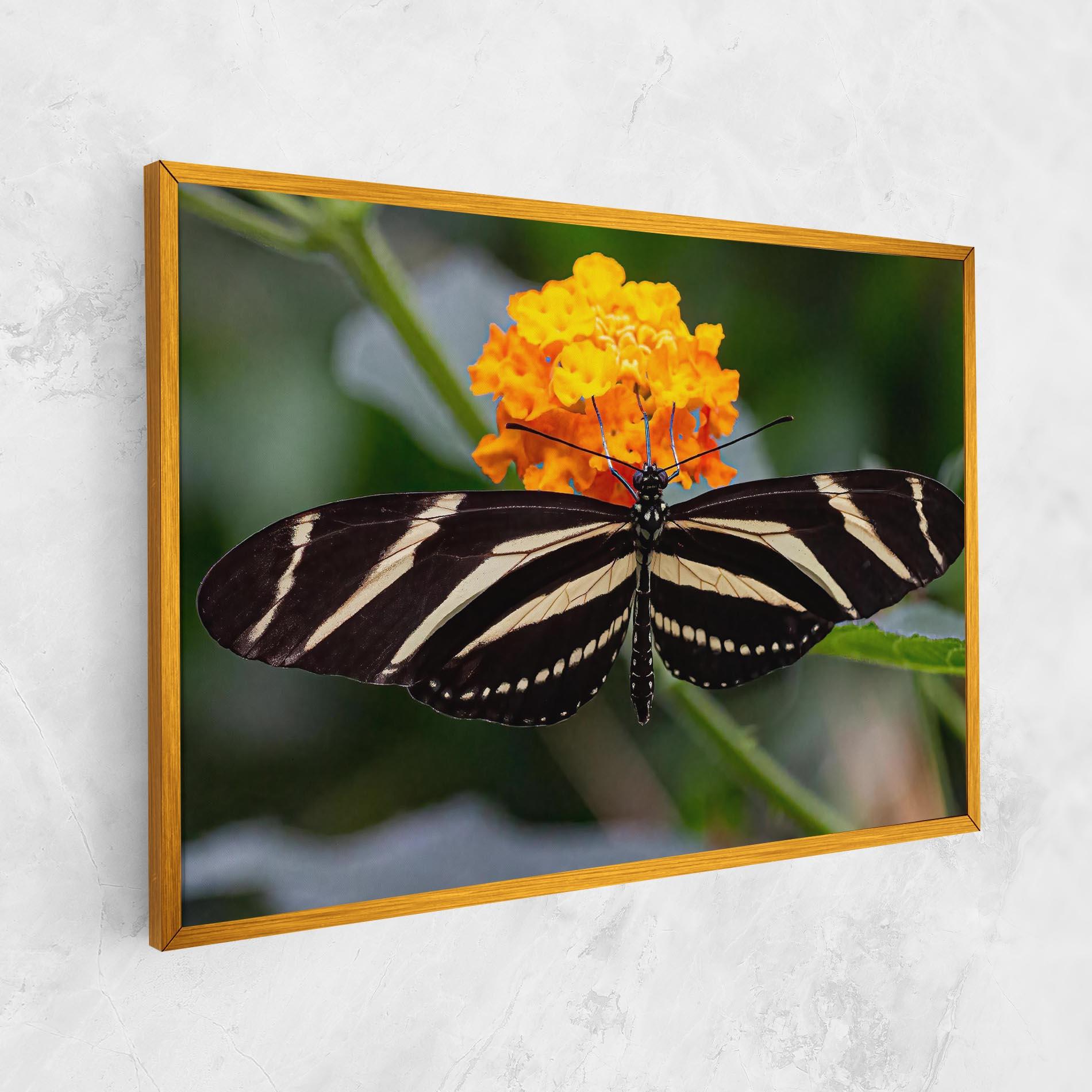 Tablou Canvas Big Wings Butterfly mockup 1