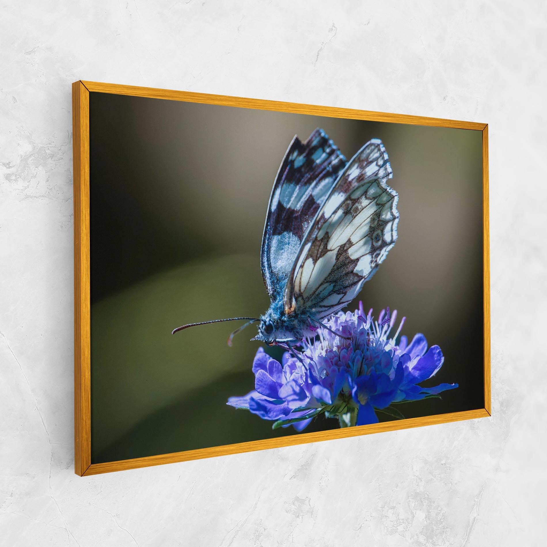 Tablou Canvas Blue Butterfly In Nature mockup 1