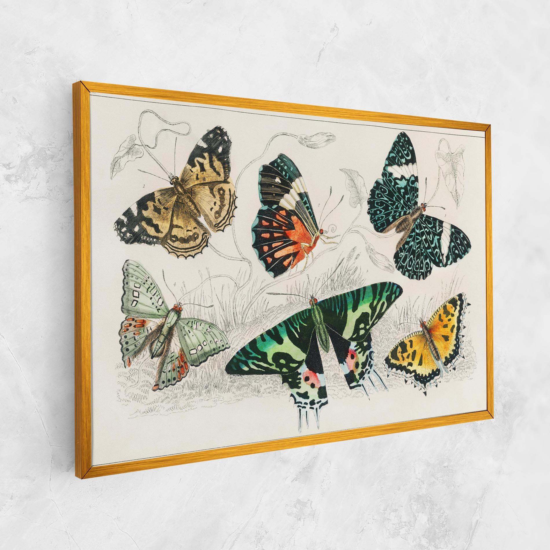Tablou Canvas Butterfly Art mockup 1