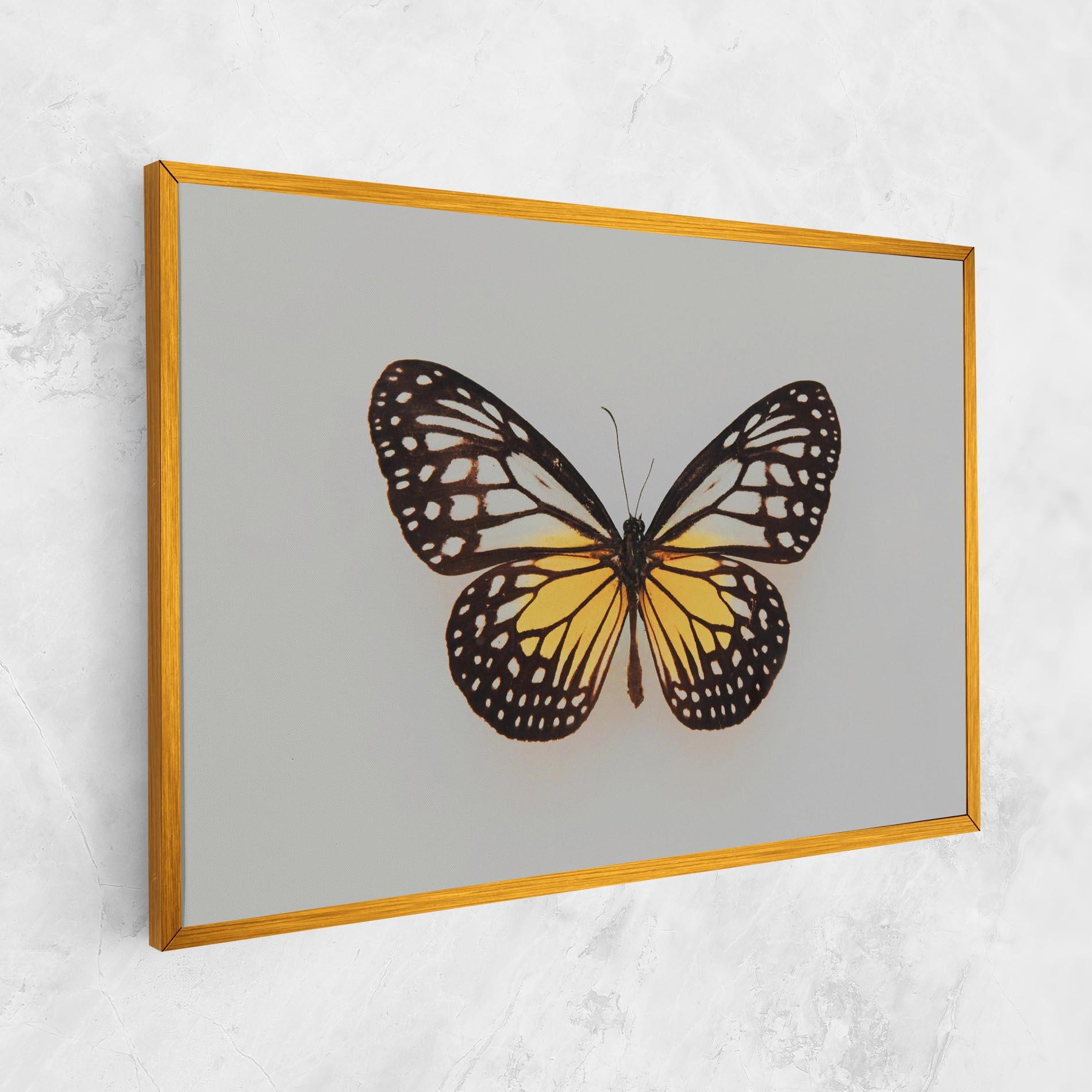 Tablou Canvas Butterfly On Grey mockup 1