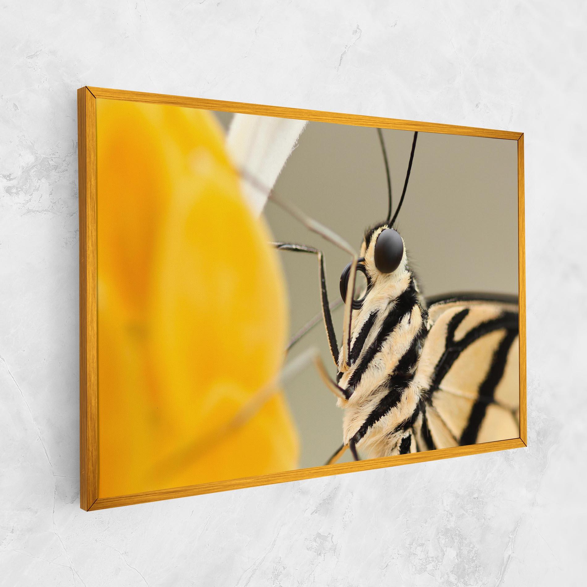 Tablou Canvas Close Up Cream Butterfly mockup 1