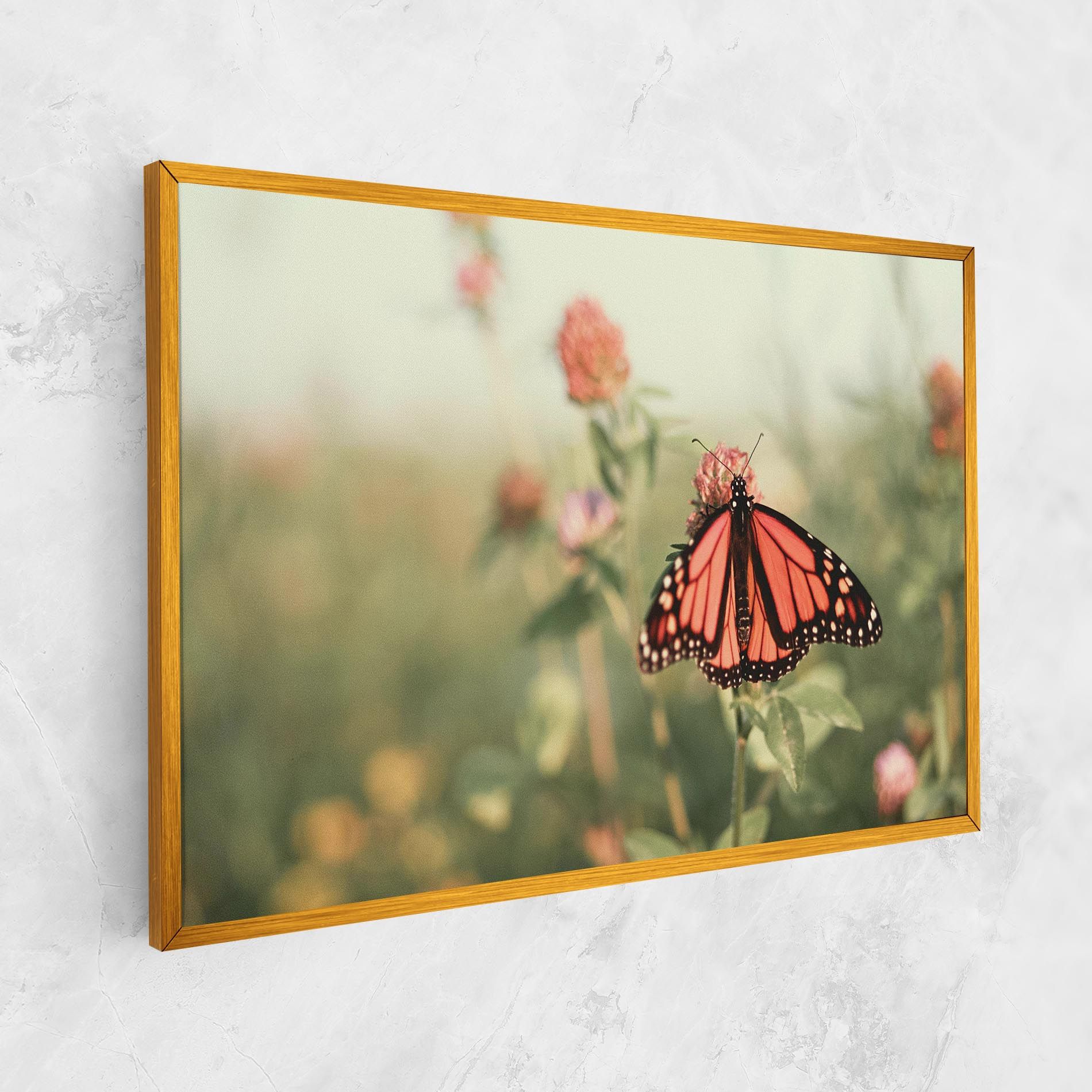 Light Red Butterfly mockup 1