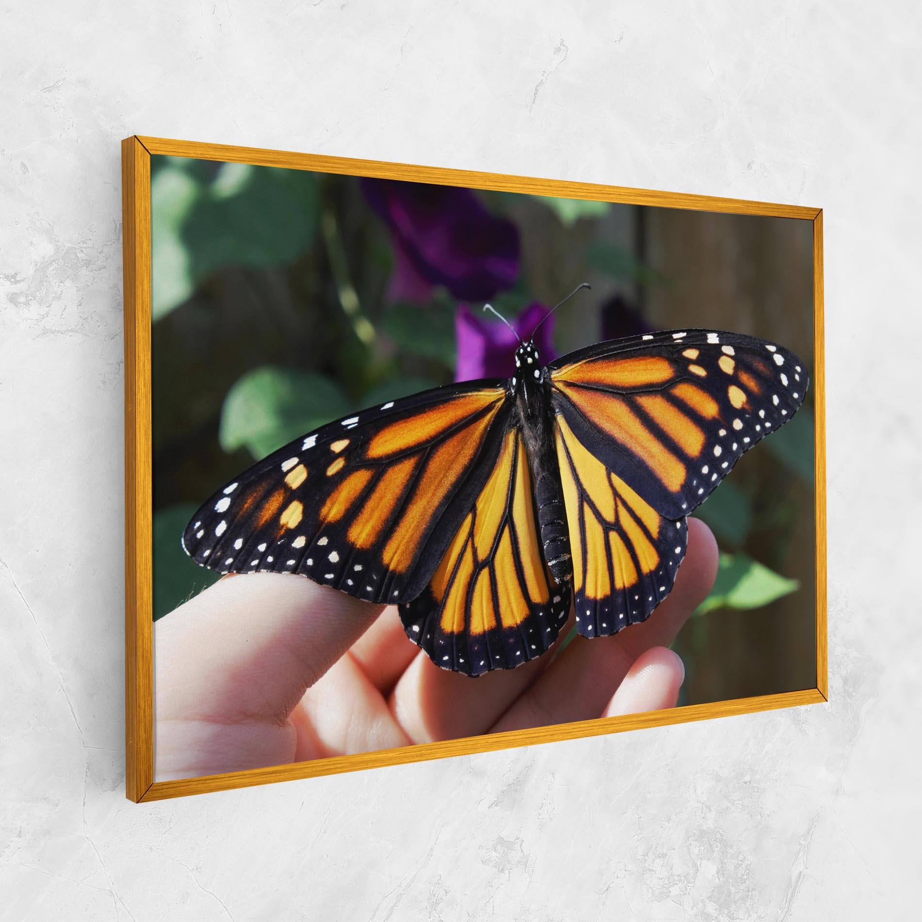 Tablou Canvas Open Orange Butterfly mockup 1