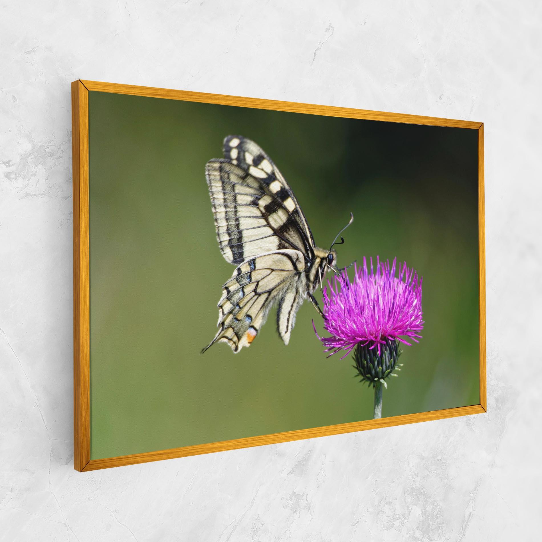 Tablou Canvas White Butterfly Pollen mockup 1