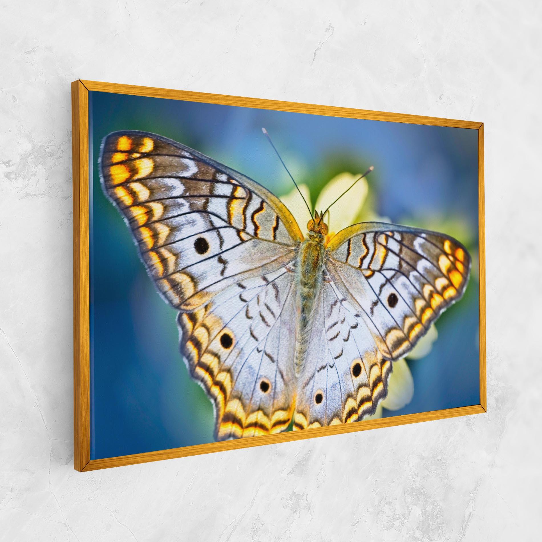 Tablou Canvas Yellow Grey Butterfly mockup 1