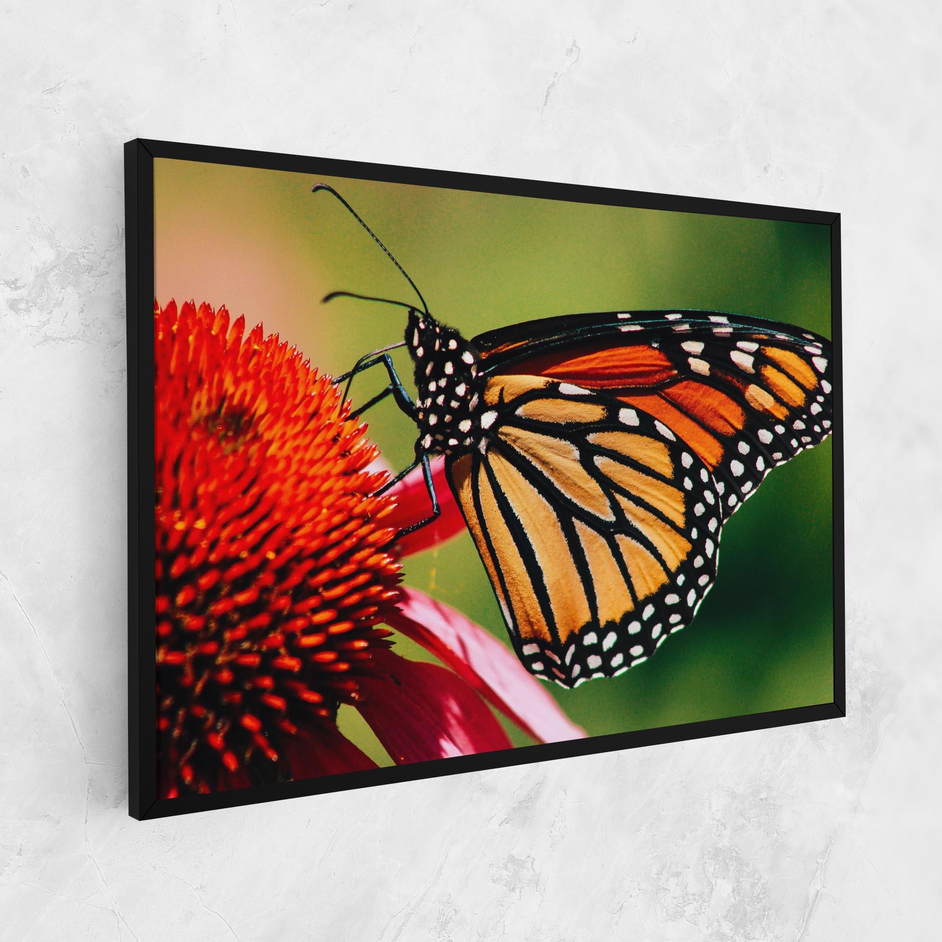 Tablou Canvas Big Orange Butterfly mockup 1