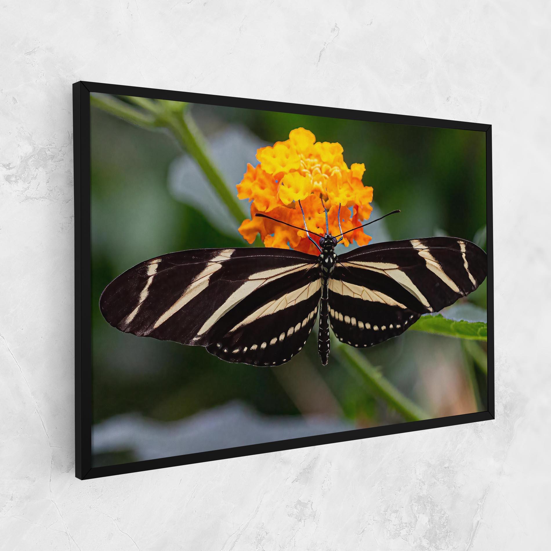 Tablou Canvas Big Wings Butterfly mockup 1