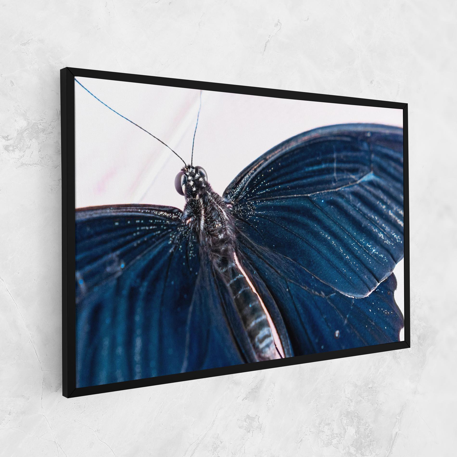 Tablou Canvas Blue Butterfly mockup 1