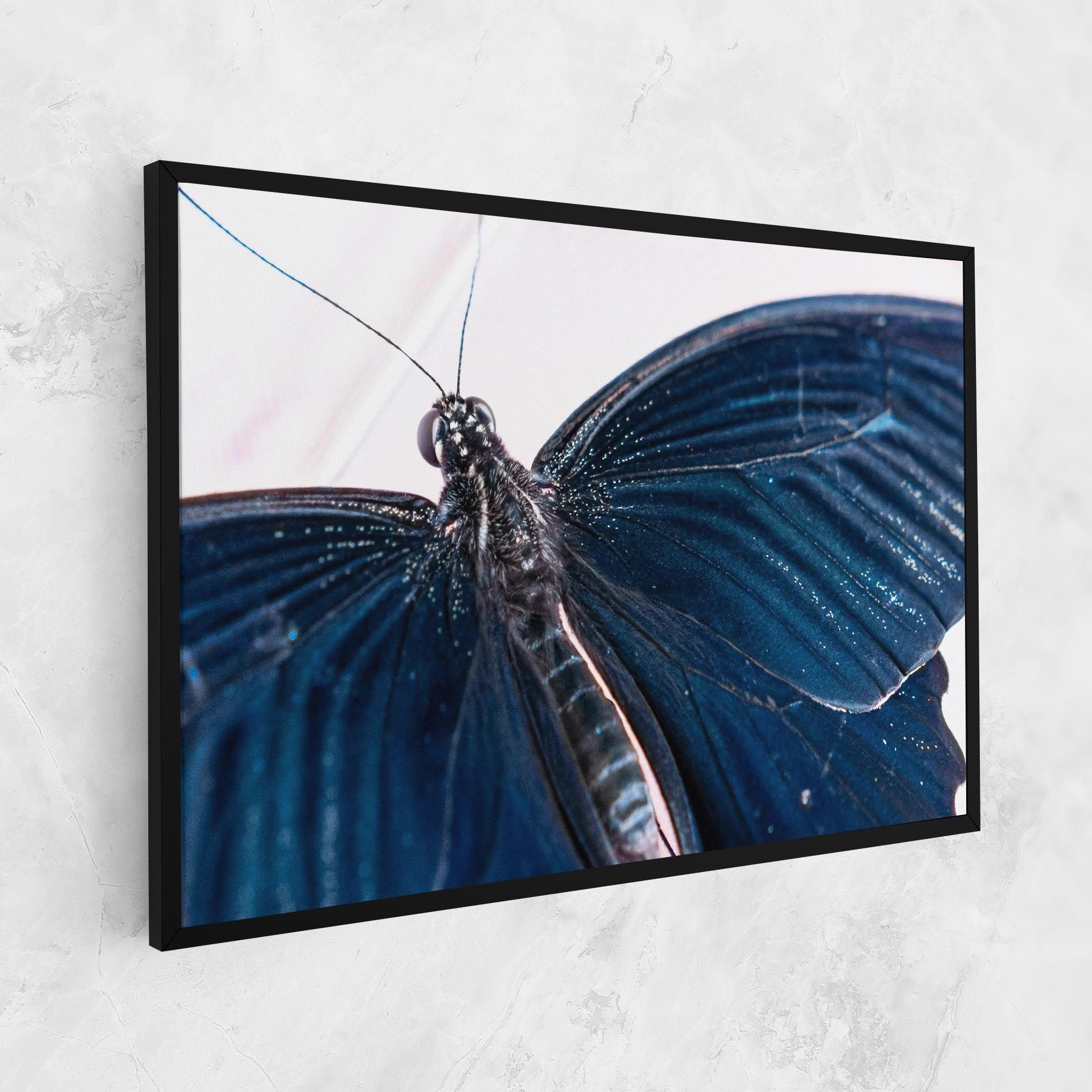 Blue Butterfly mockup 1