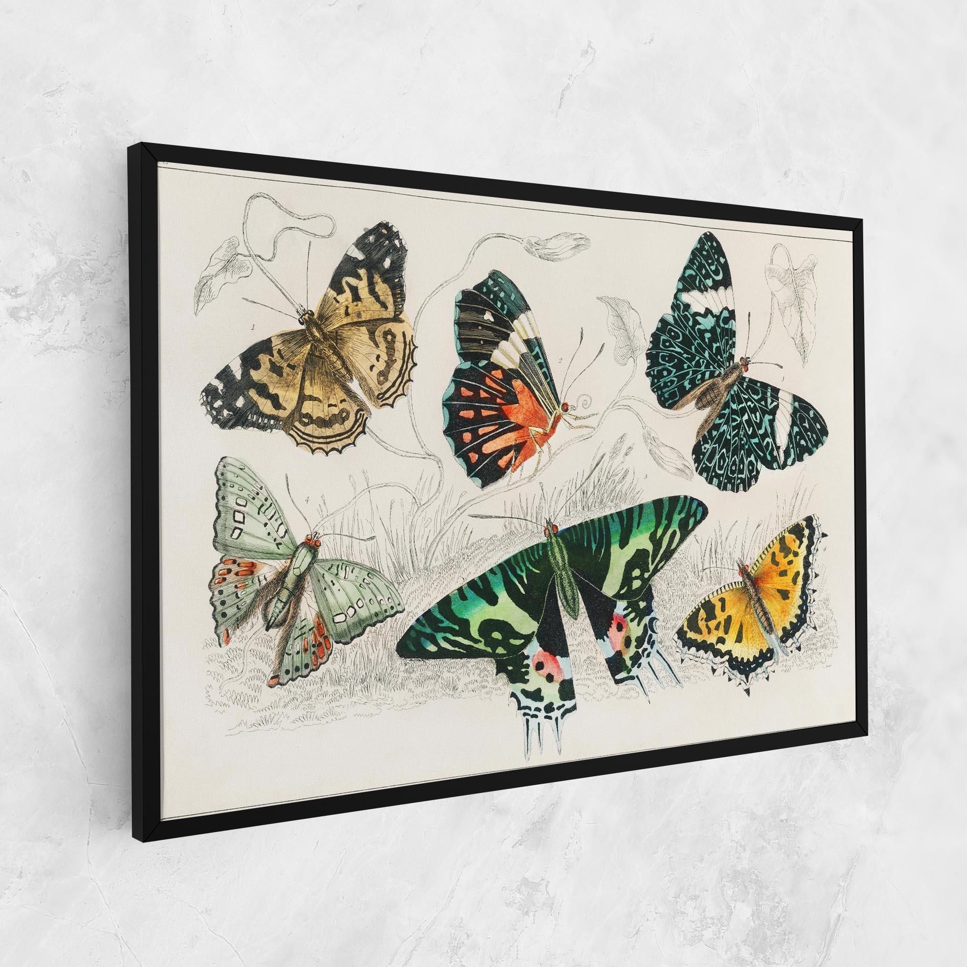 Tablou Canvas Butterfly Art mockup 1