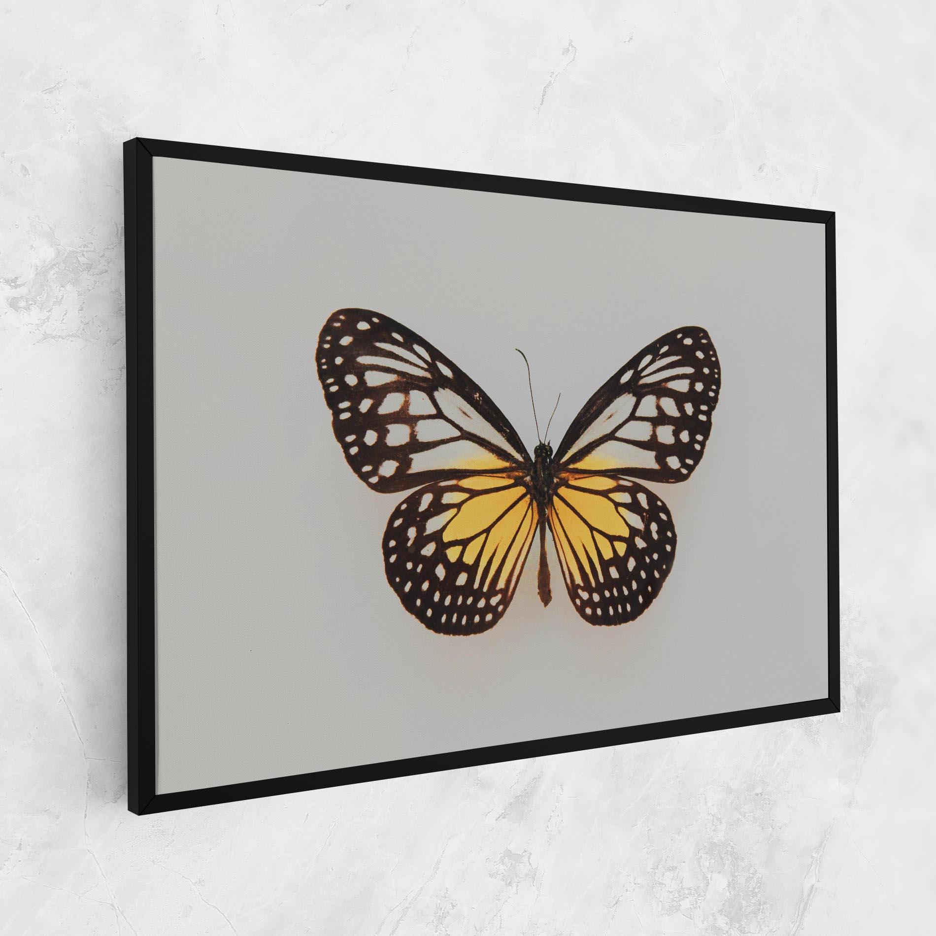 Tablou Canvas Butterfly On Grey mockup 1