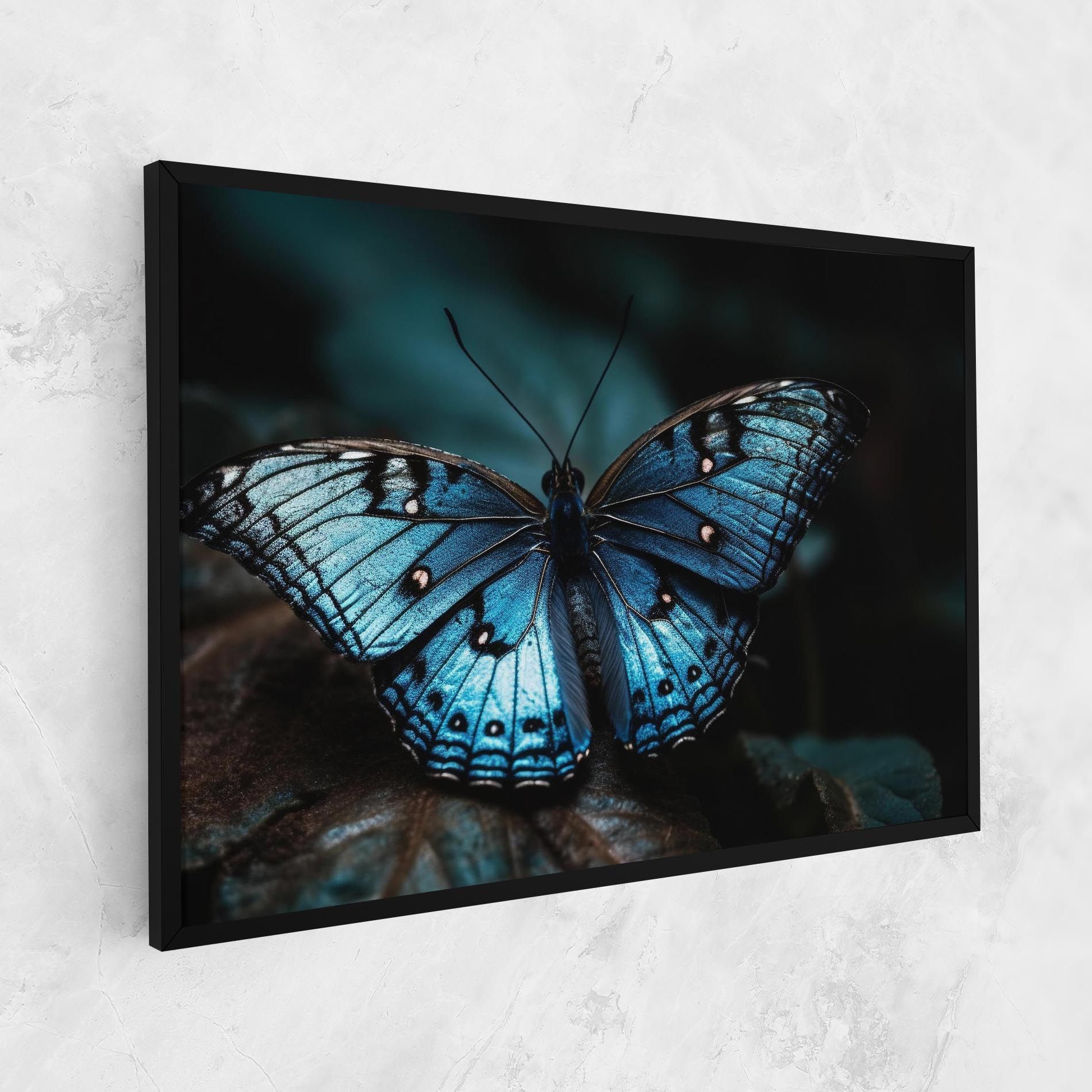 Dark Blue Buterfly mockup 1