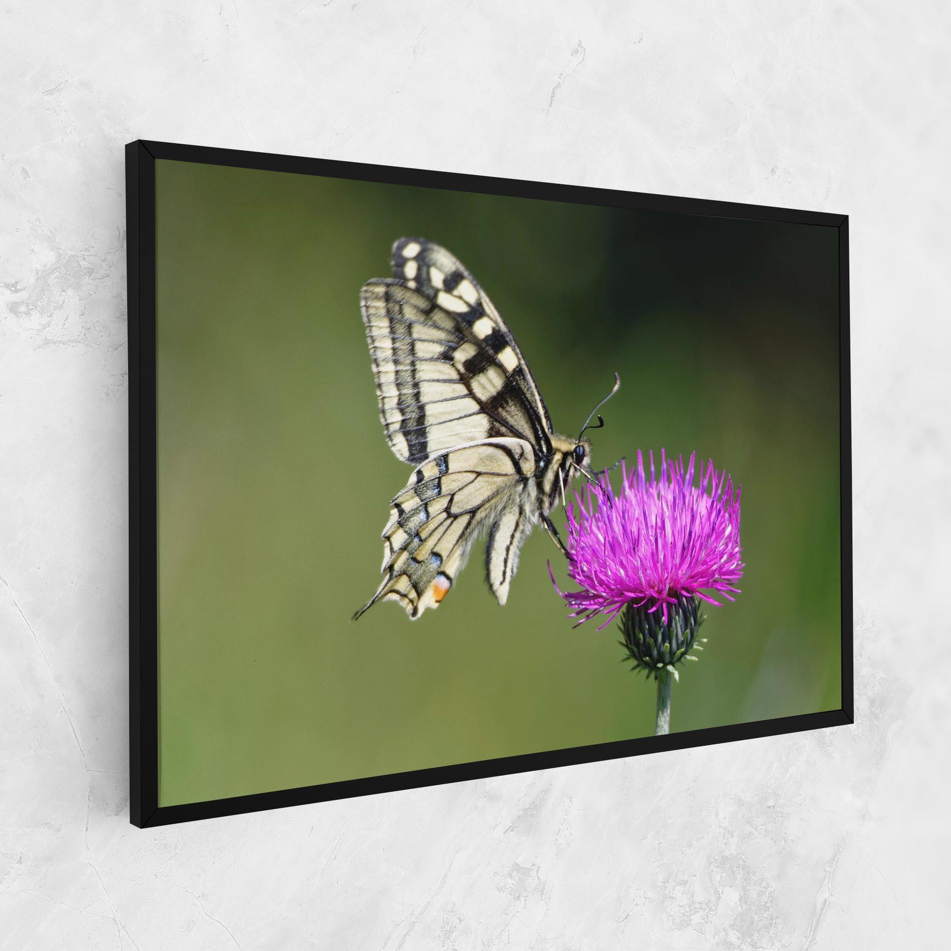 Tablou Canvas White Butterfly Pollen mockup 1